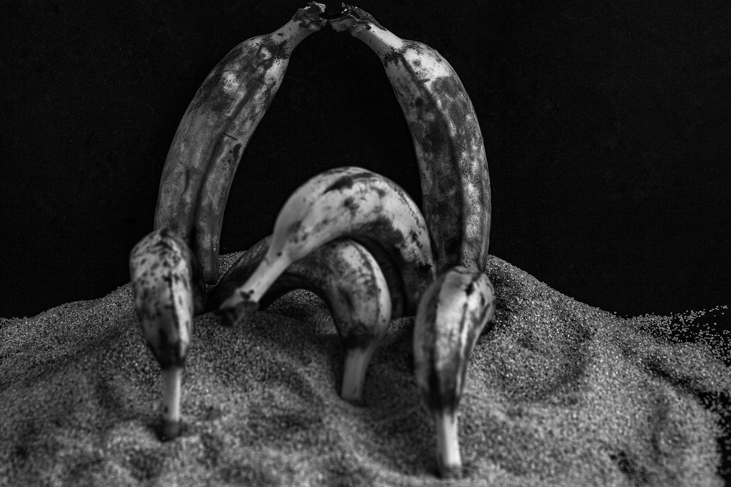 Красота тоже рядом с нами. Медиапродюсер, фотограф в Минеральных Водах —Виктор Холодов