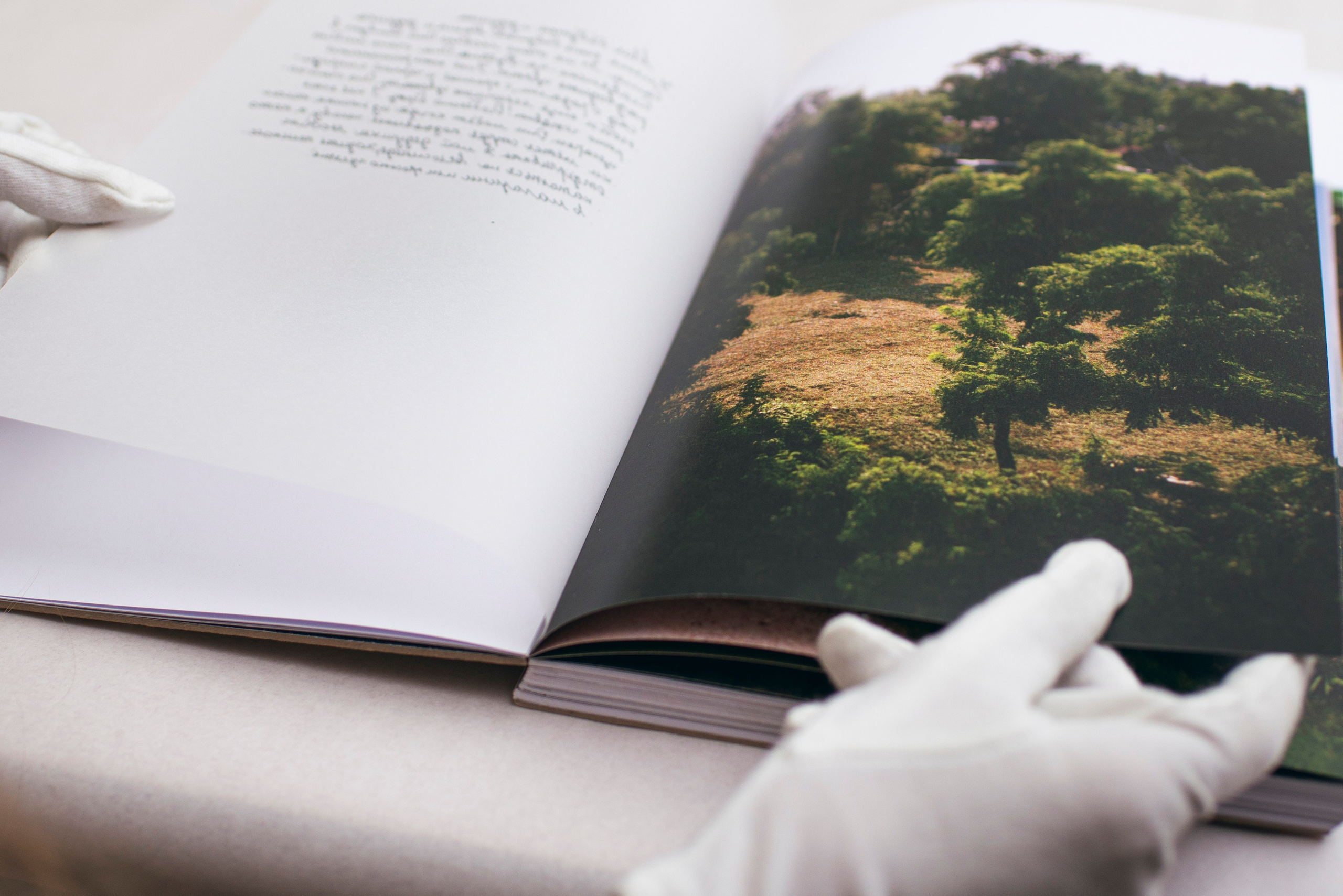 Вечер фото книг в Школе Дизайна. Фотограф в Москве Алейникова Евгения