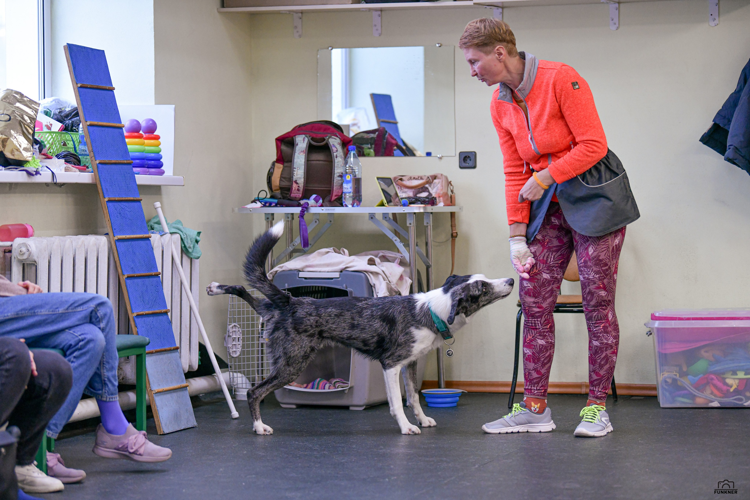 Кинологический клуб «Бодрый хвост». Свой взгляд через объектив