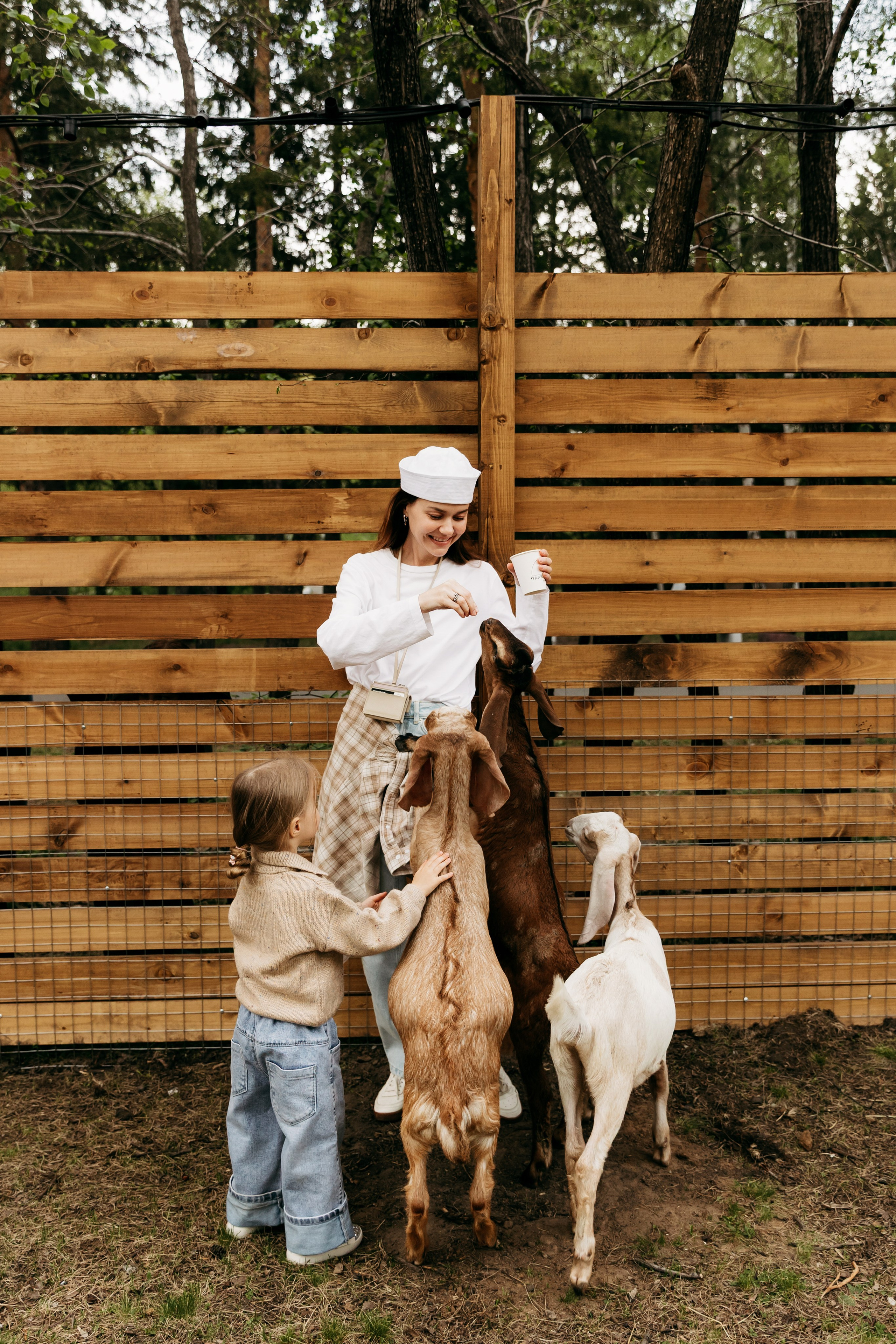 Привет, лама!. Главная