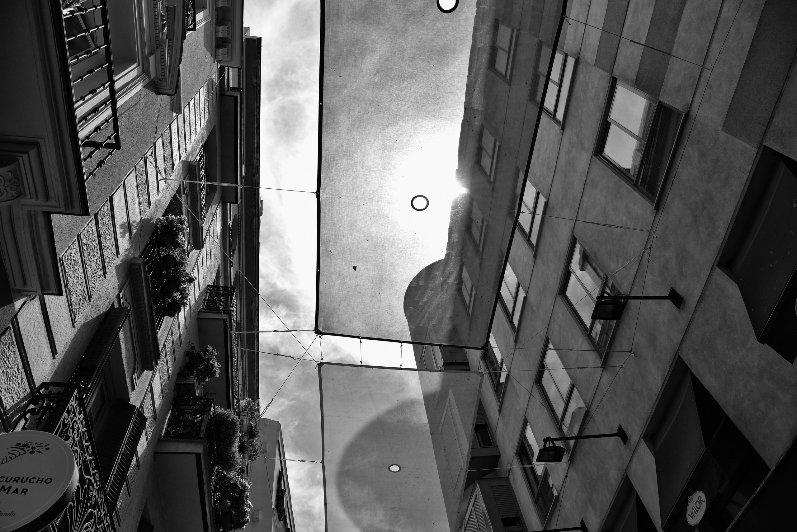 Madrid. Фотограф Милена Яновска