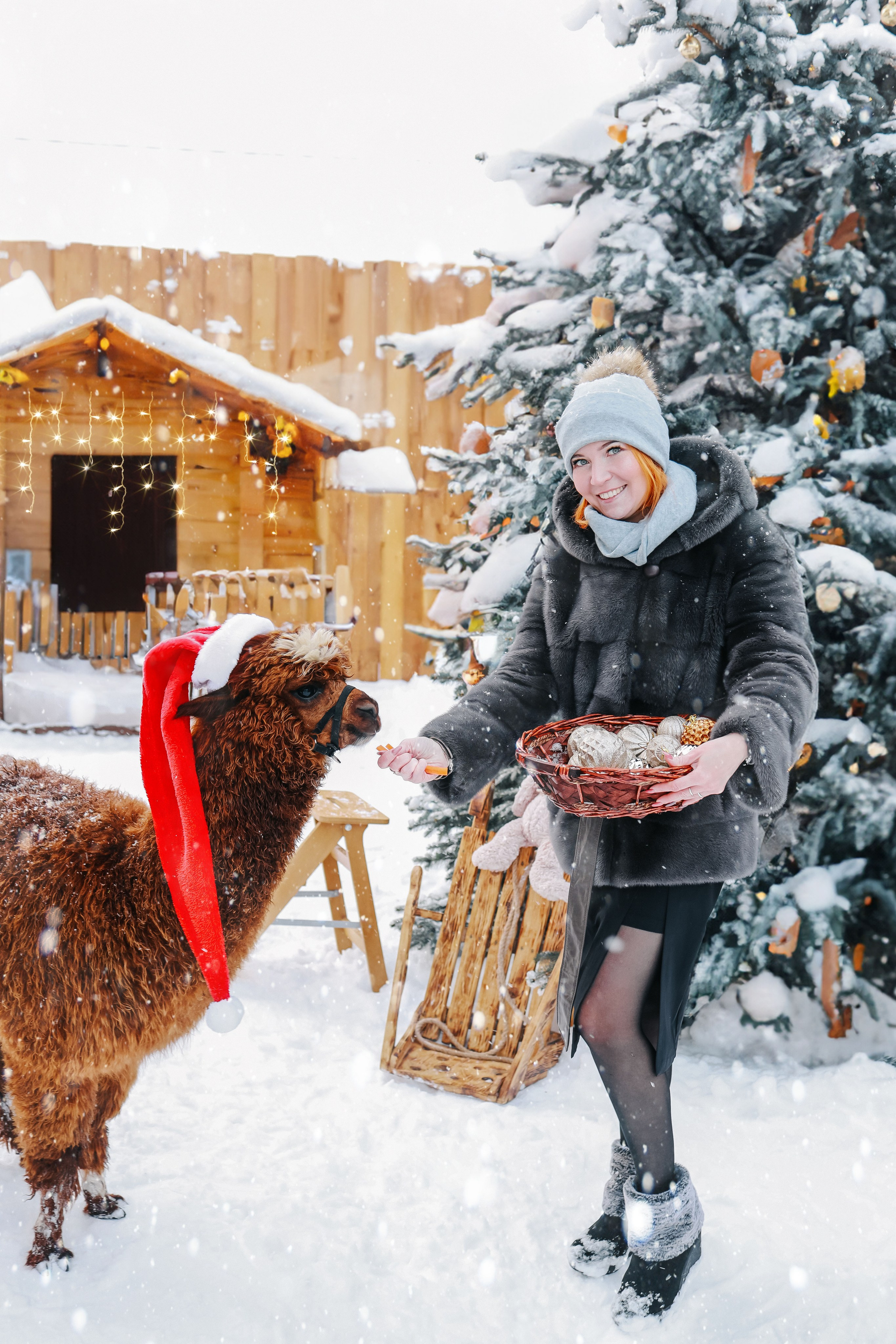 Семейная фотосессия с Альпакой. Иванова Ирина Свадебный и семейный фотограф г. Уфа