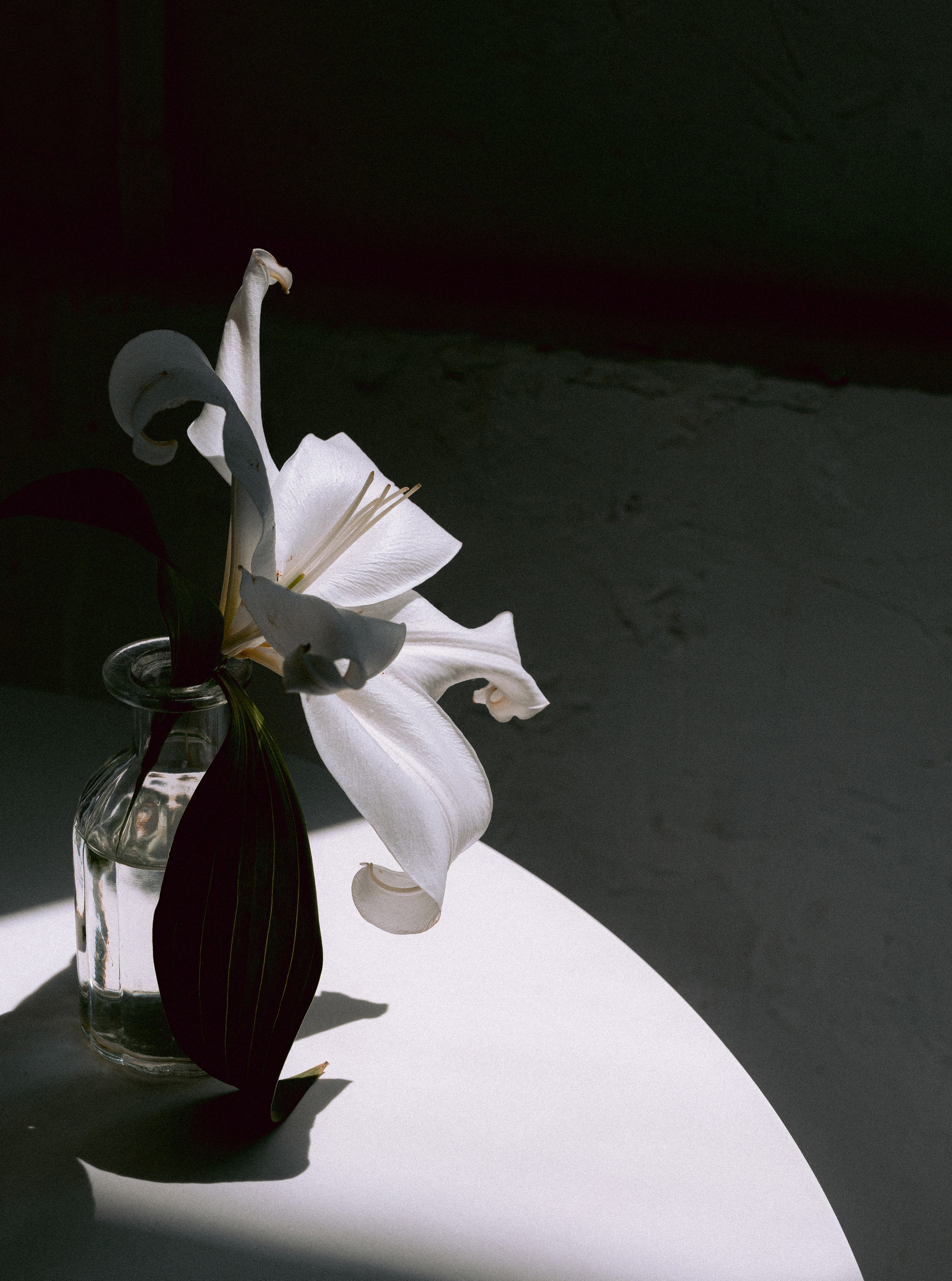 Она. Портретный, семейный и репортажный фотограф в Ставрополе Ульяна Доценко