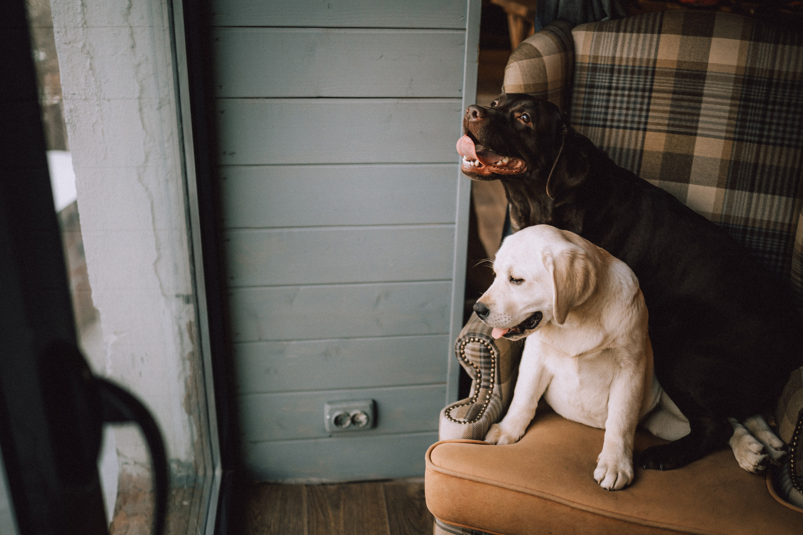 Ума, Берта и их семья