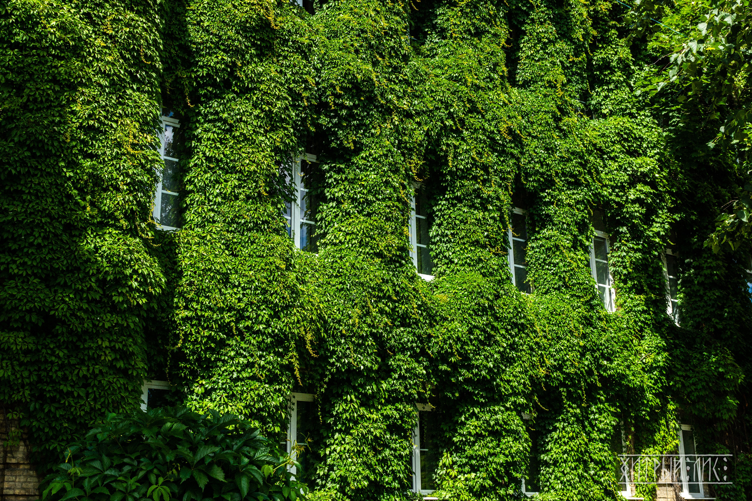 Беларусь. Фотограф-путешественник Самойлов Максим «Sly Fox»