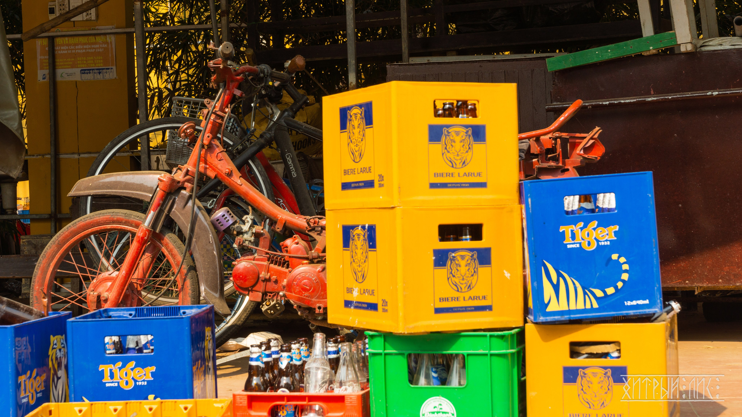 Вьетнам. Фотограф-путешественник Самойлов Максим «Sly Fox»