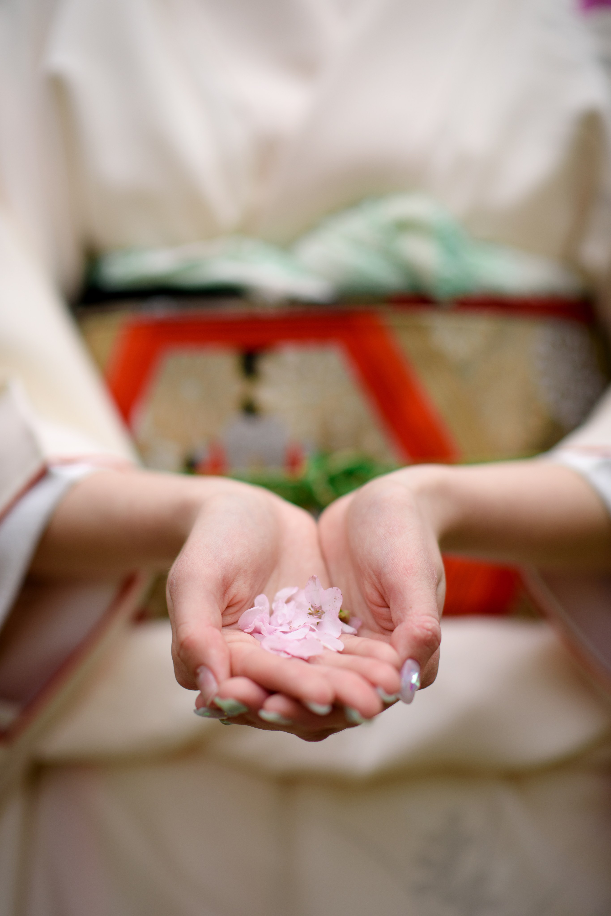 Любование сакурой в Бирюлевском дендропарке. Главная