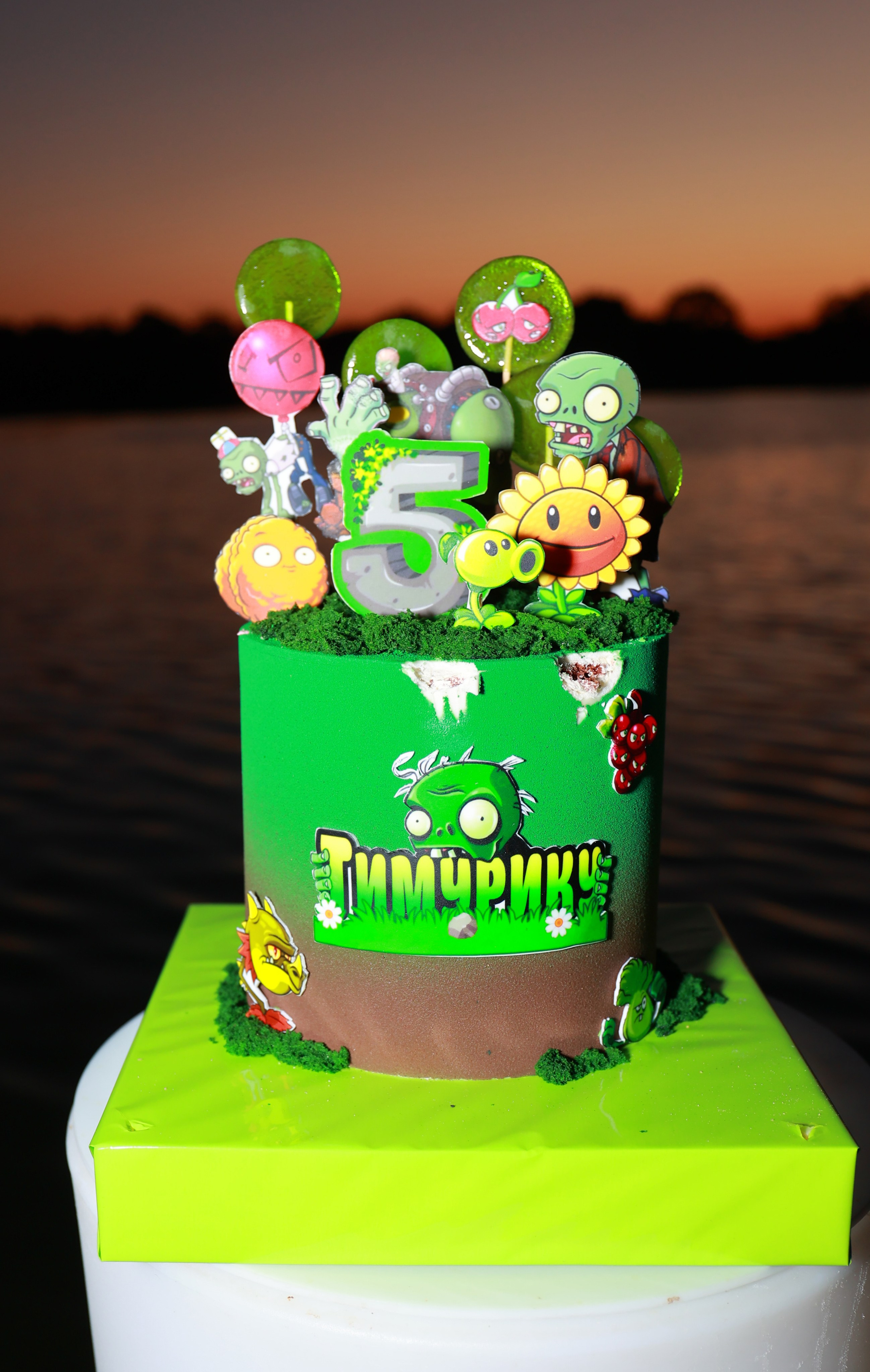 Зомби против растений. Детский семейный фотограф Краснодар