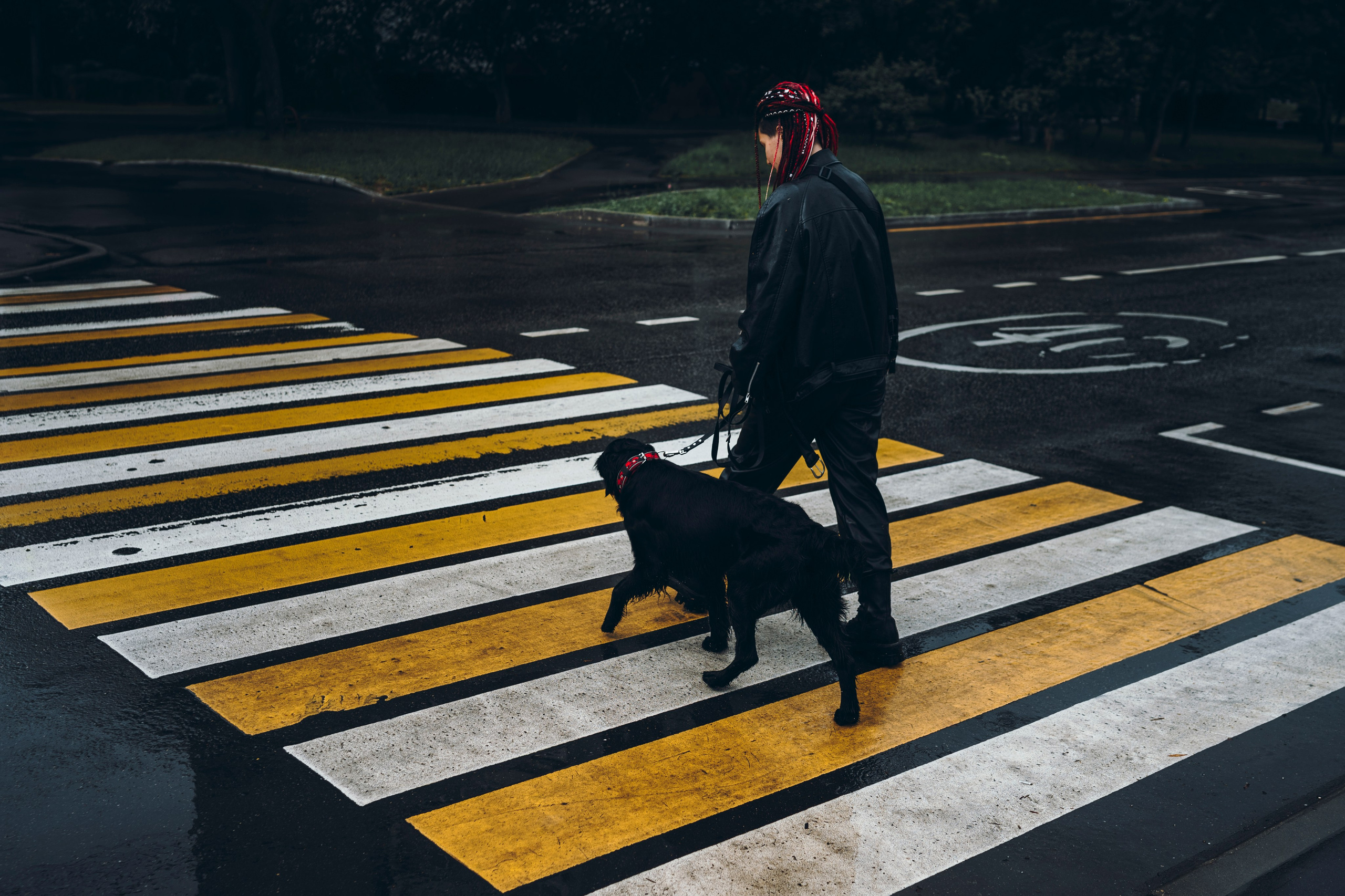 Настя и Демида. Семейный фотограф анималист Ананьева Мария — Москва