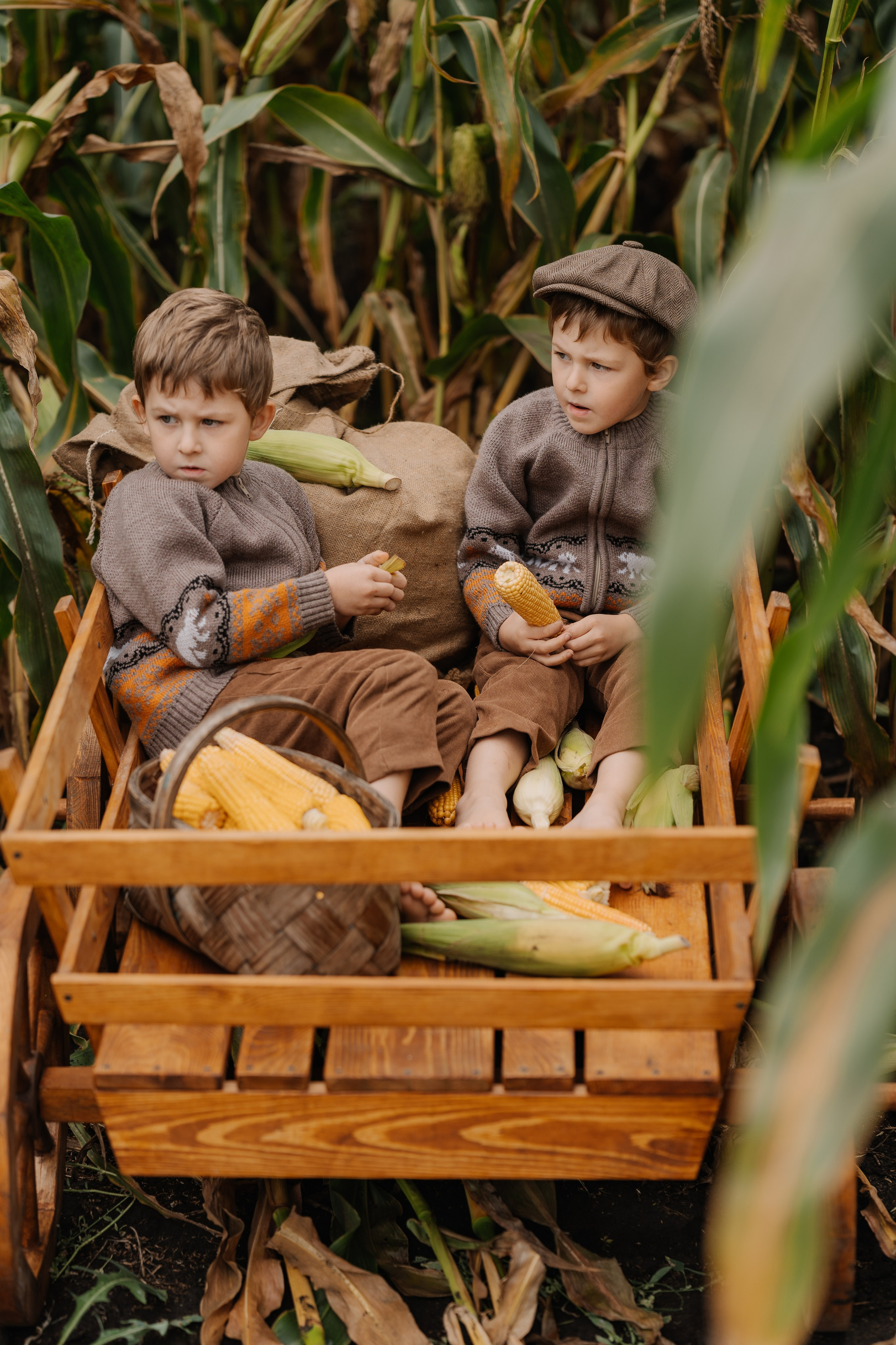 Ваня и Илья в кукурузе. СВАДЕБНЫЙ ФОТОГРАФ КРАСНОЯРСК