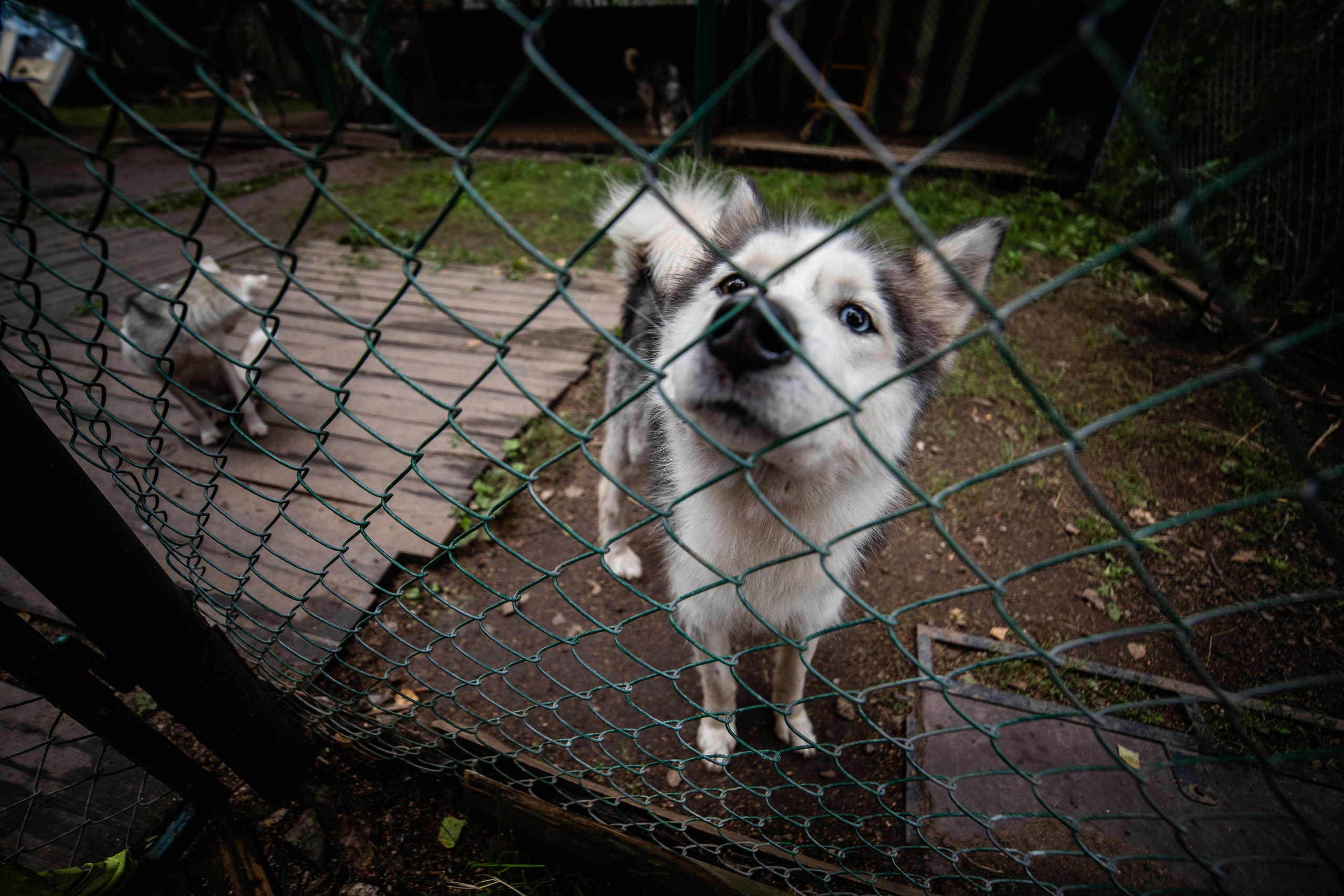 Корпоративный тимбилдинг — «Монтажный горизонт». Репортажный и свадебный фотограф в Челябинске Елисеев Павел