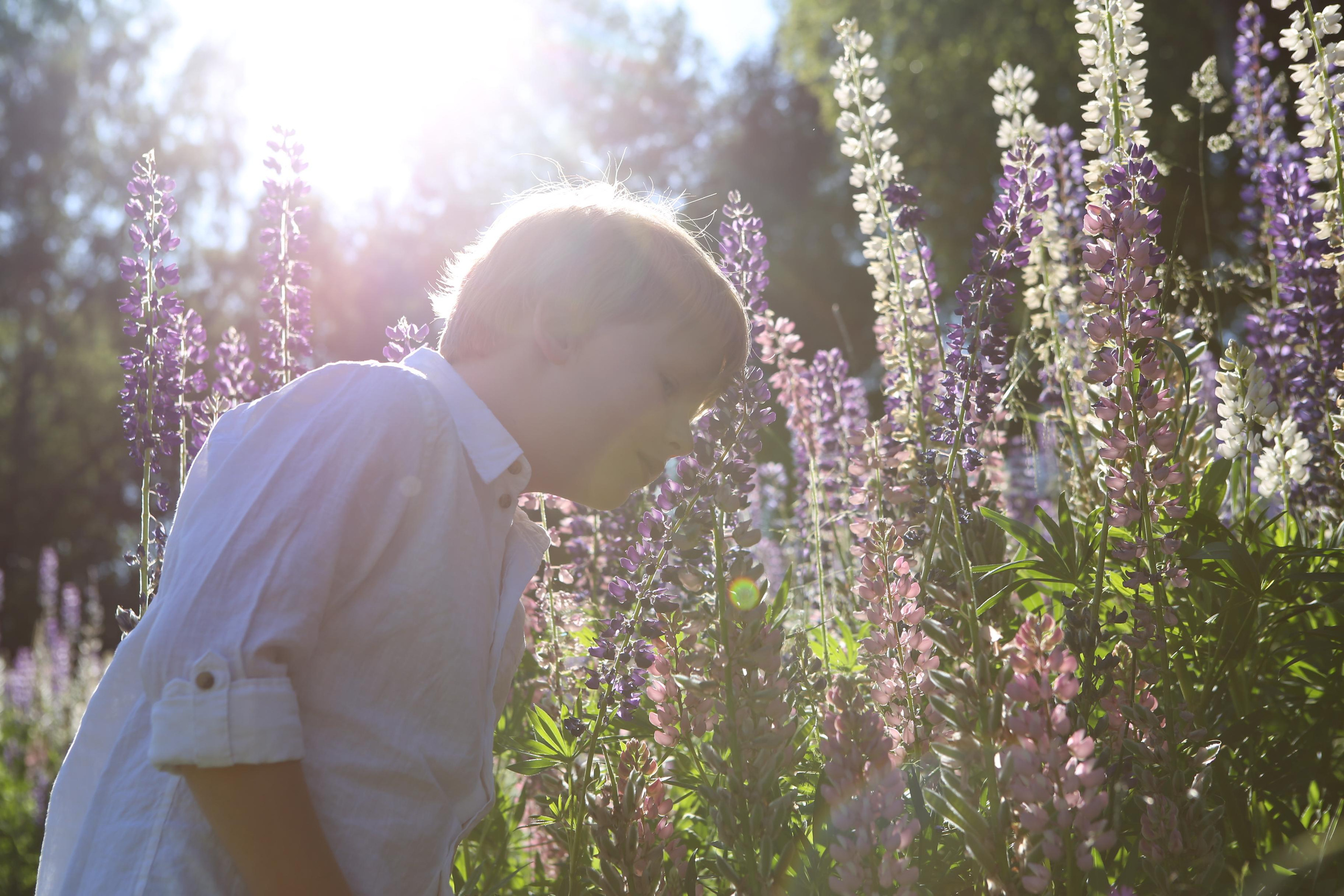 Фотоистория как я провёл лето на даче. Филатова Мария репортажный и портретный фотограф в Санкт-Петербурге