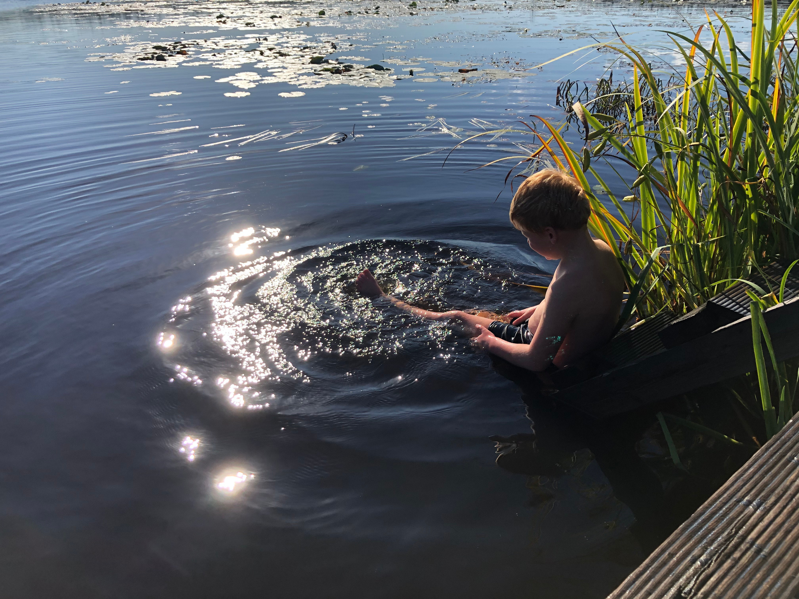 Фотоистория как я провёл лето на даче. Филатова Мария репортажный и портретный фотограф в Санкт-Петербурге