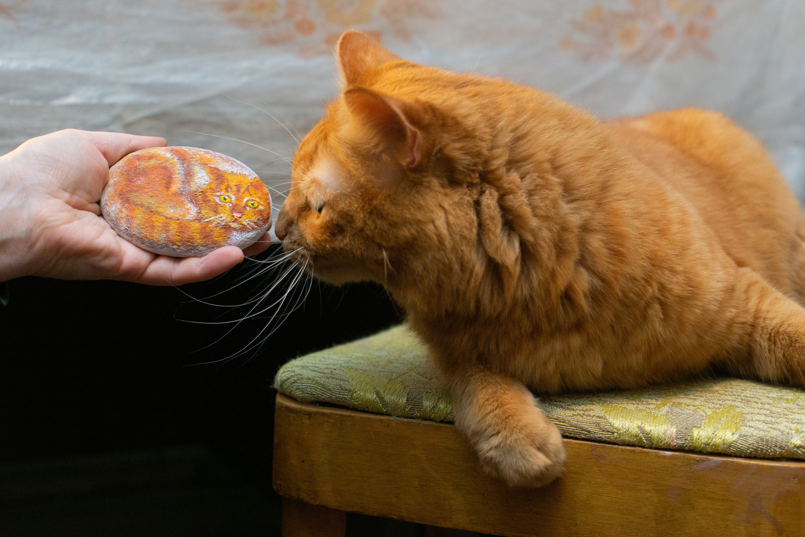 Фотосъёмка в художественной мастерской. Филатова Мария репортажный и портретный фотограф в Санкт-Петербурге