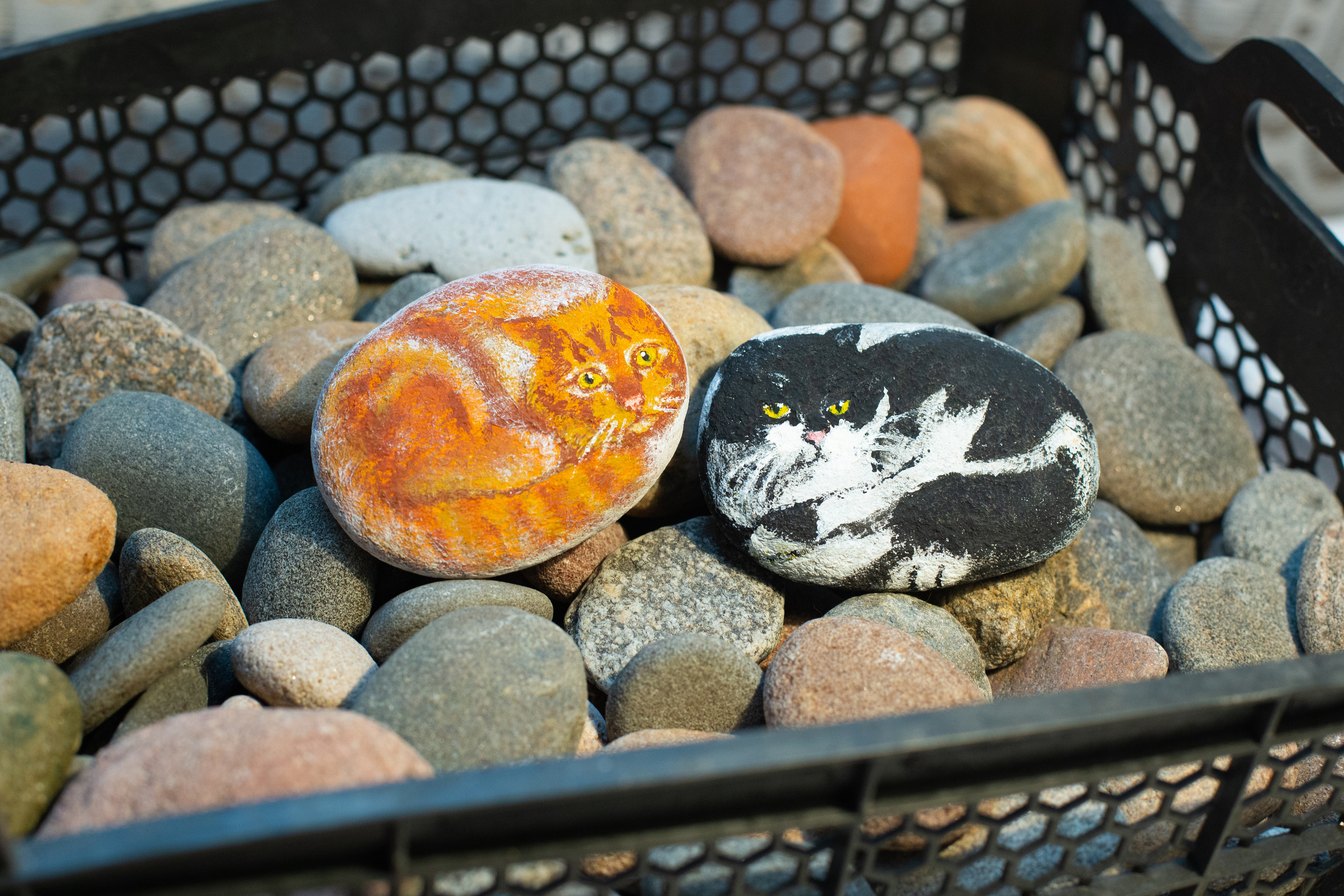 Фотосъёмка в художественной мастерской. Филатова Мария репортажный и портретный фотограф в Санкт-Петербурге