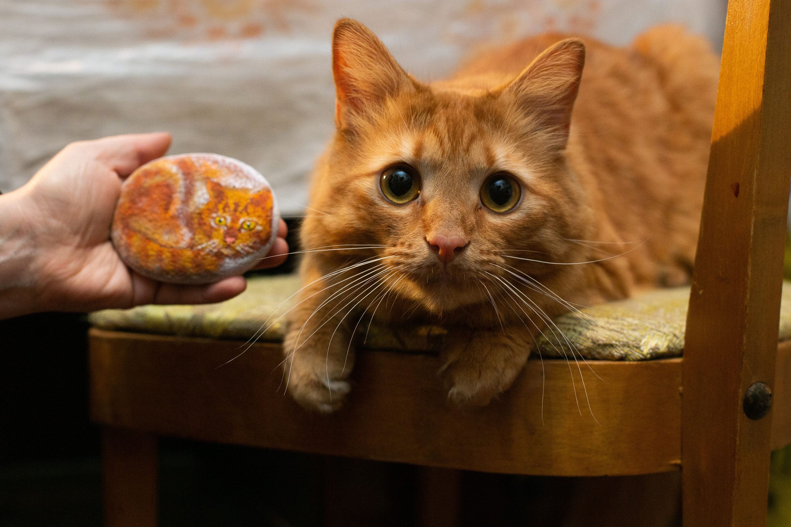 Фотосъёмка в художественной мастерской. Филатова Мария репортажный и портретный фотограф в Санкт-Петербурге