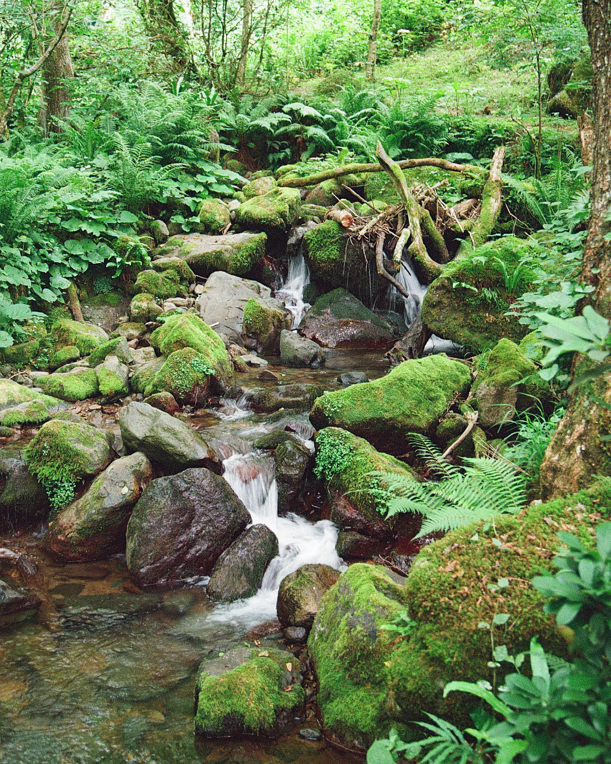 ГРУЗИЯ. ПРИРОДА.25. Профессиональный фотограф Федотова Арина