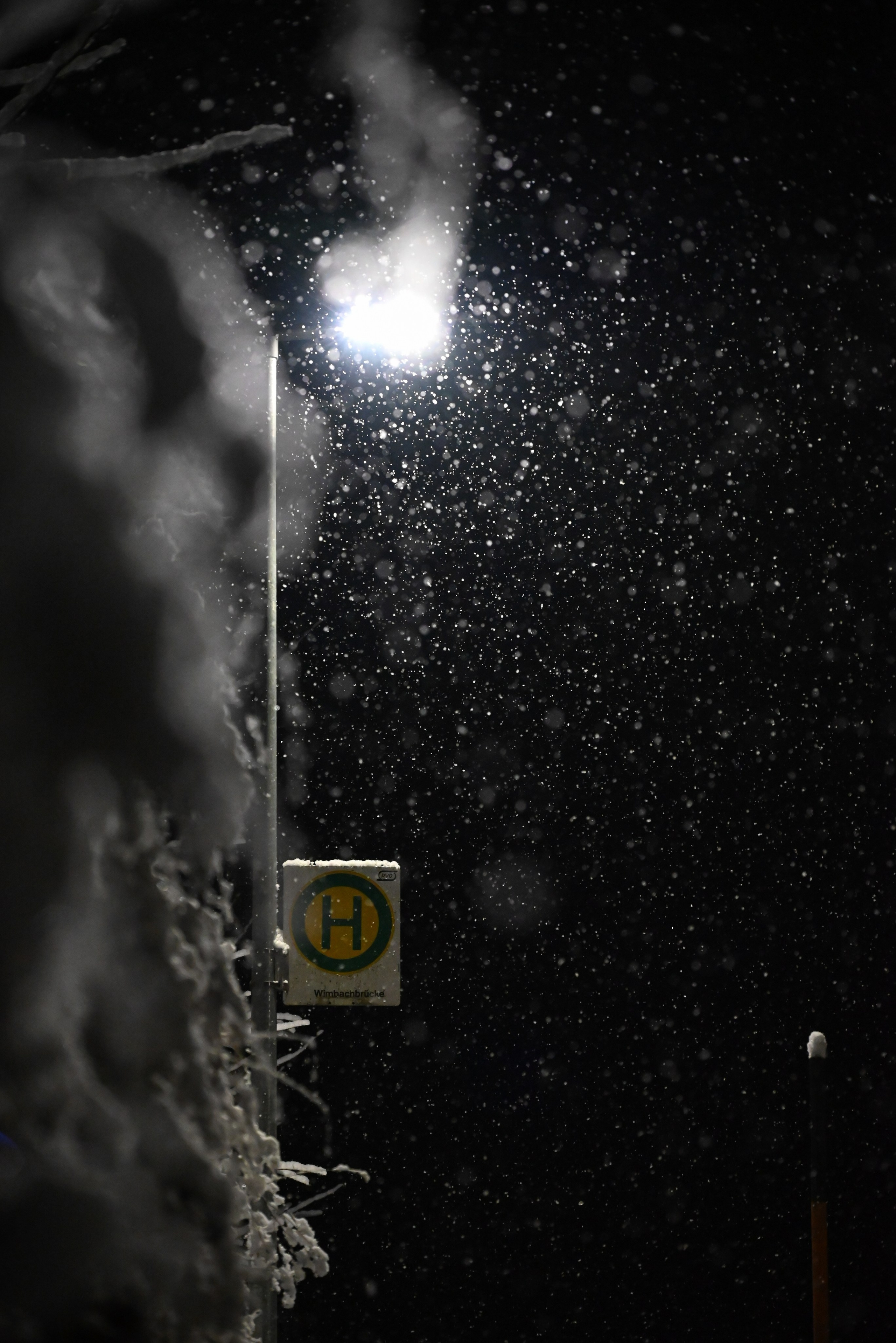 Nature. Андрей Пиотровский. Фотограф