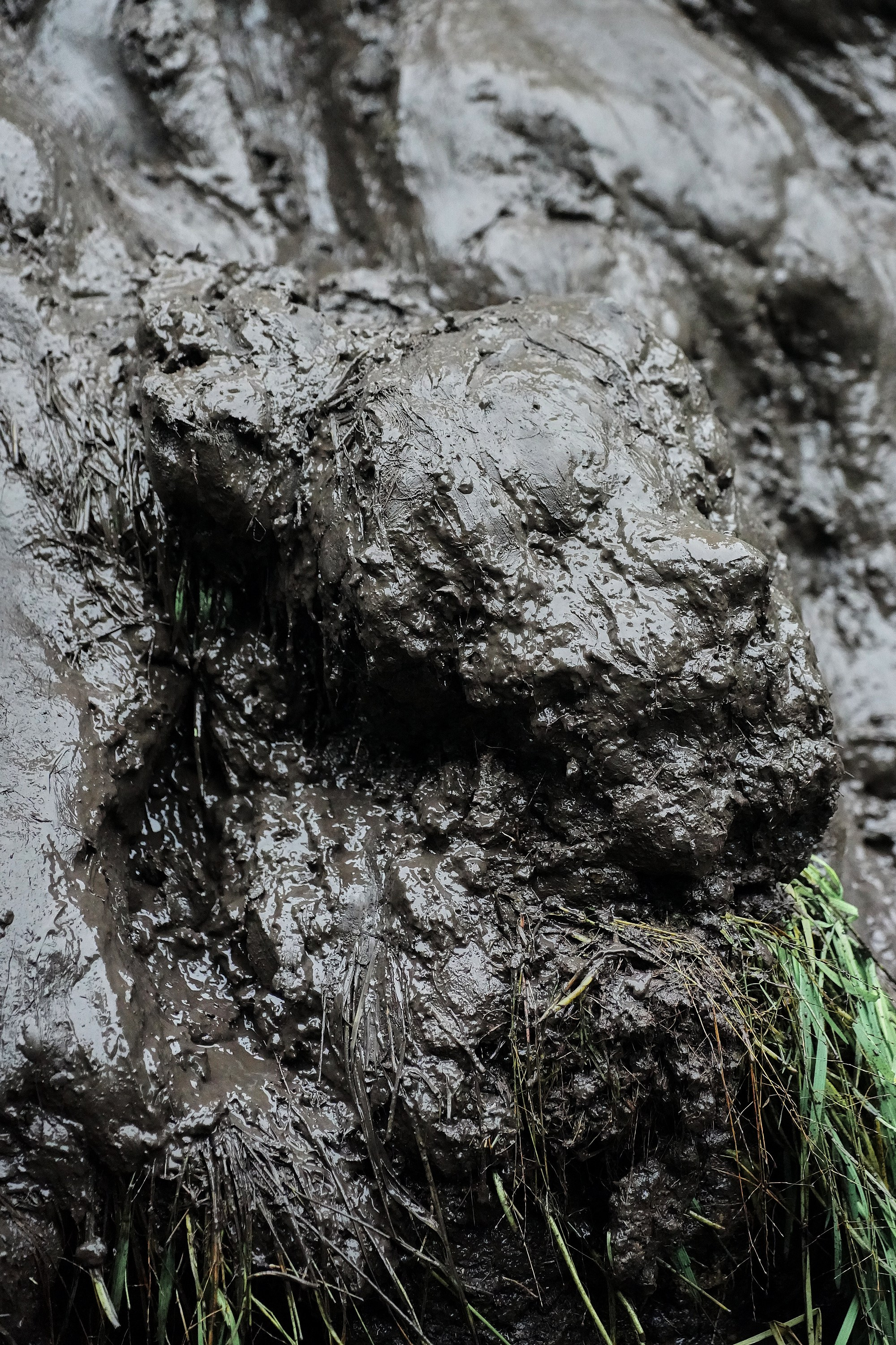 Стальной характер 2025. Фотограф