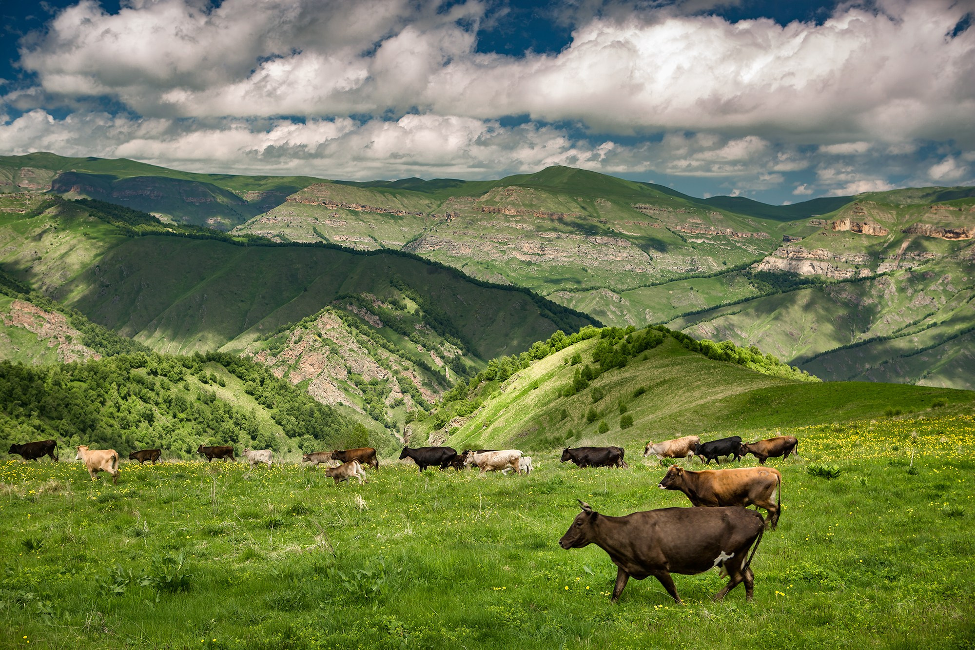 Северный Кавказ, Россия. Фотограф Владимир Остапенко