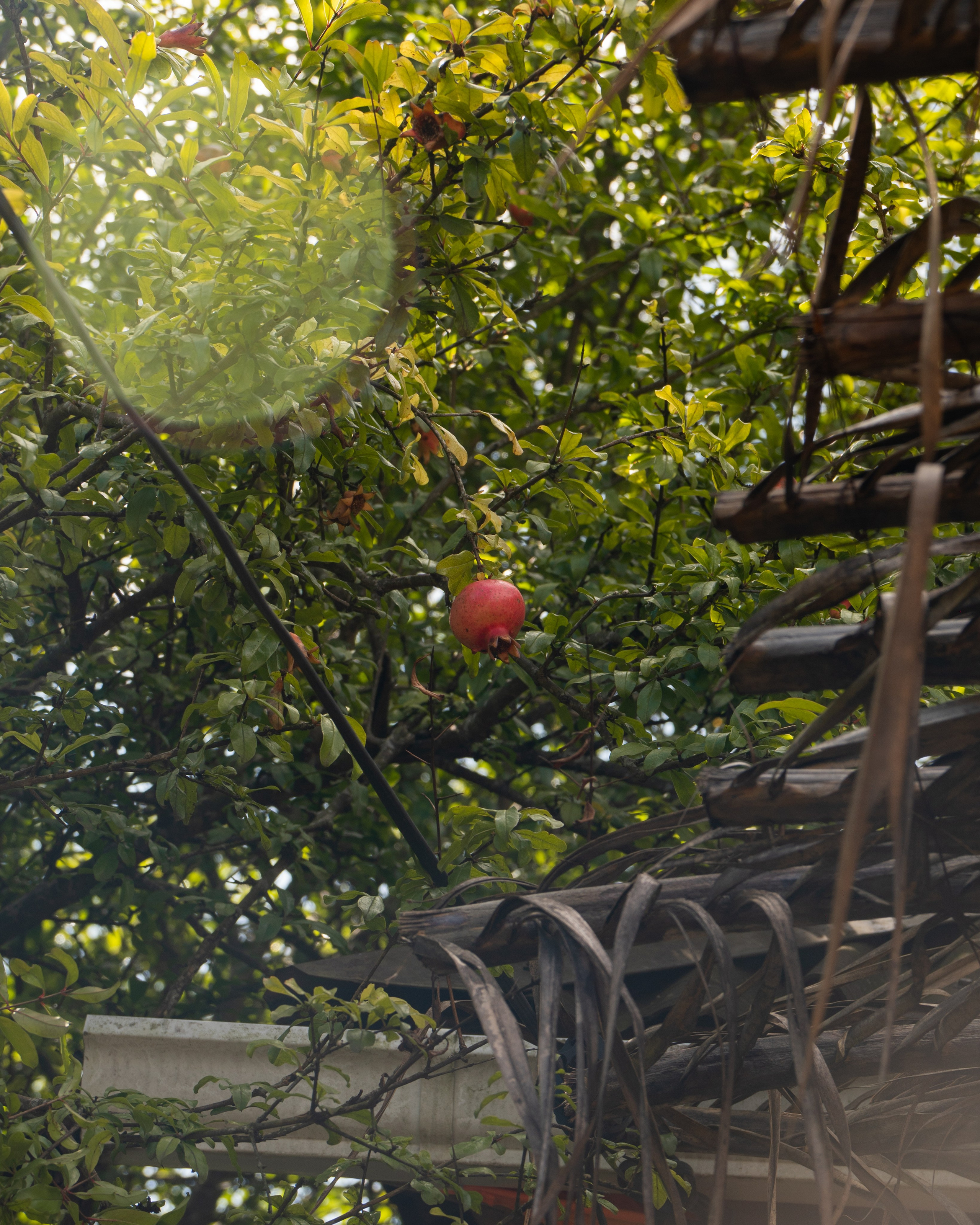 Абхазия. Gusarov Travel Photography