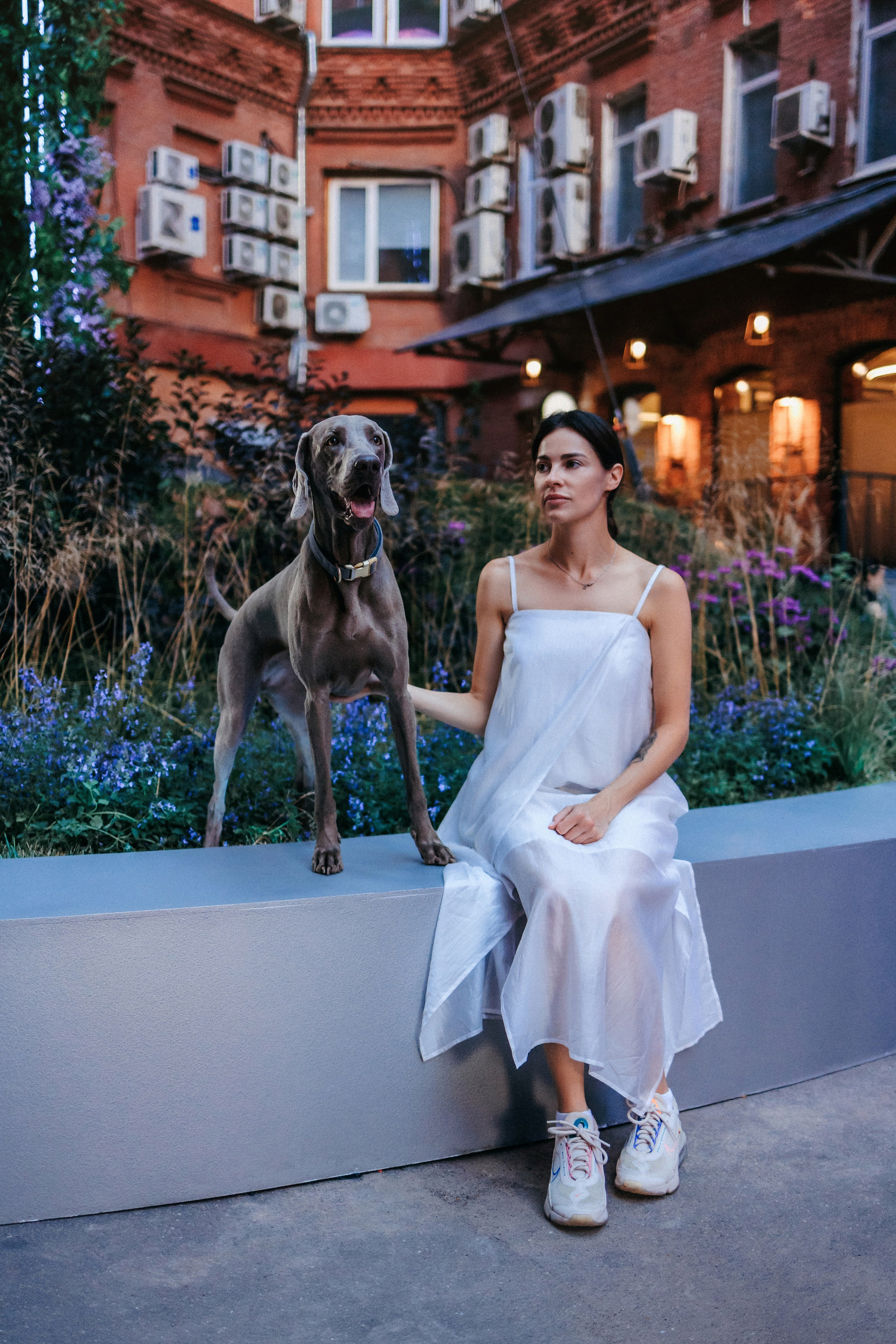 Соня и Майли. Фотограф-анималист Елена Радченко, Москва