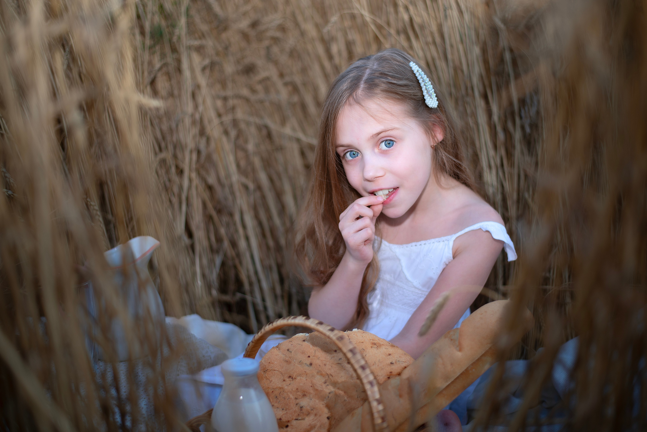 Пшеница. Главная