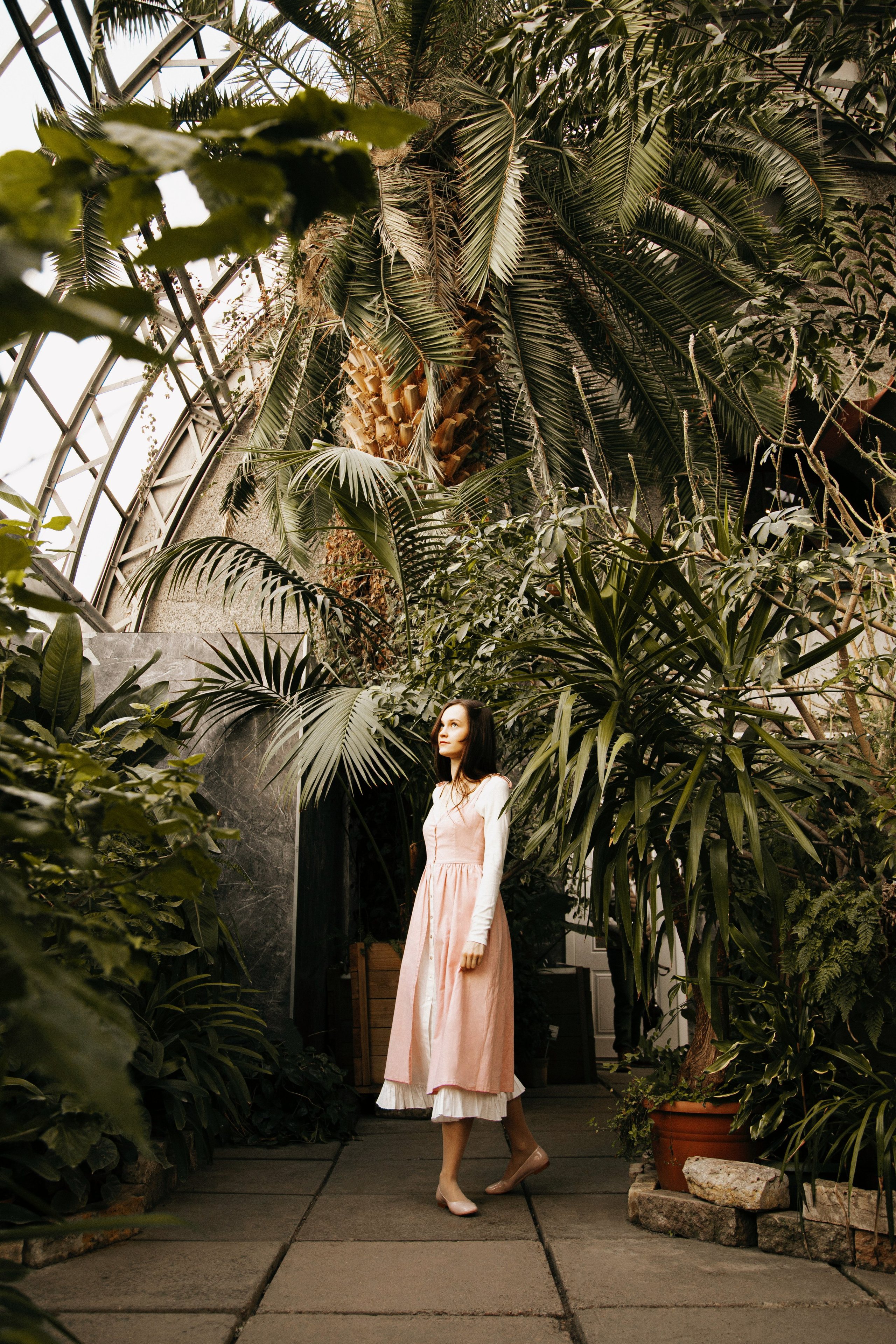 Оранжерея Таврического сада