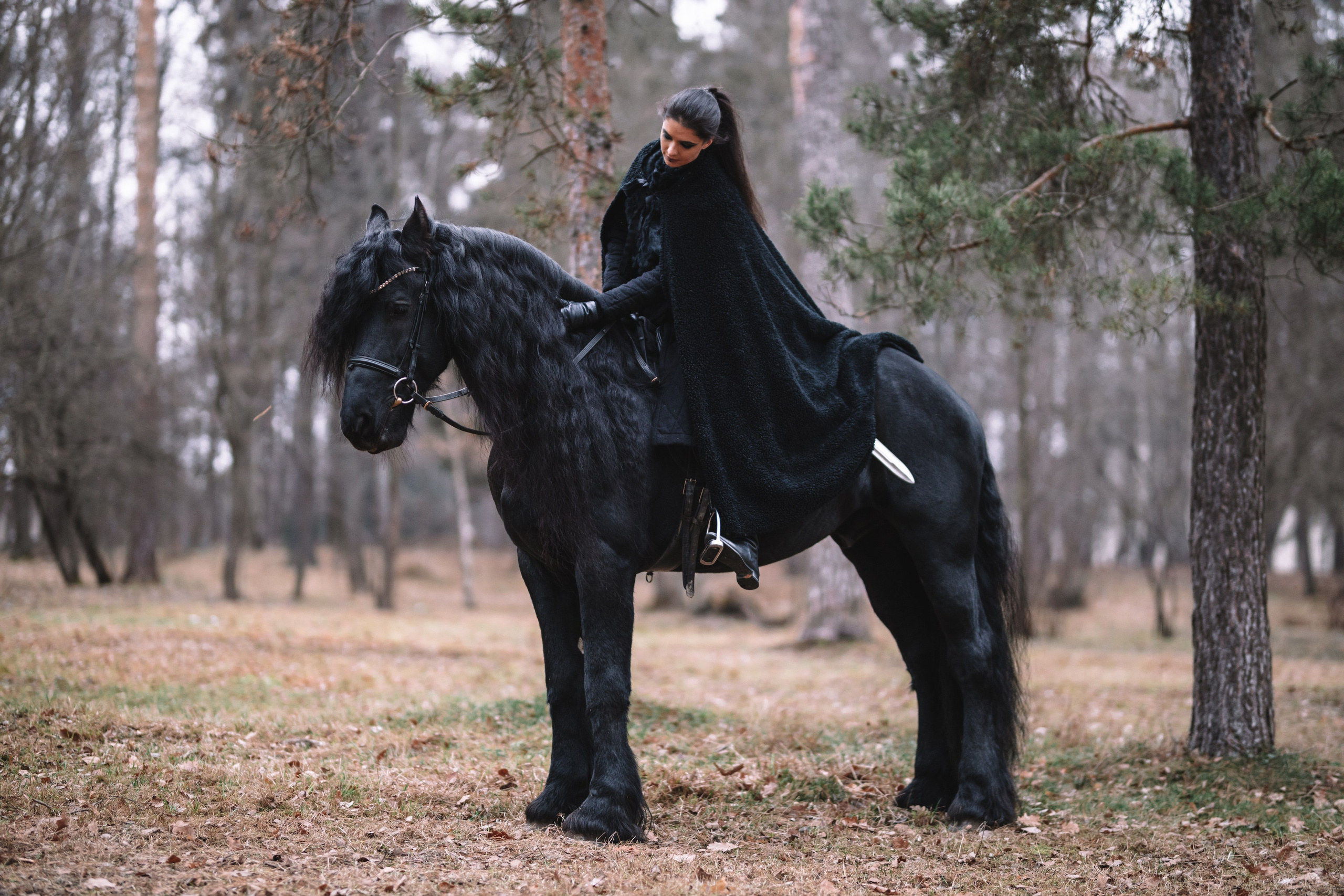 Наташа с фризом в костюме викинга. Фотосессии с лошадьми