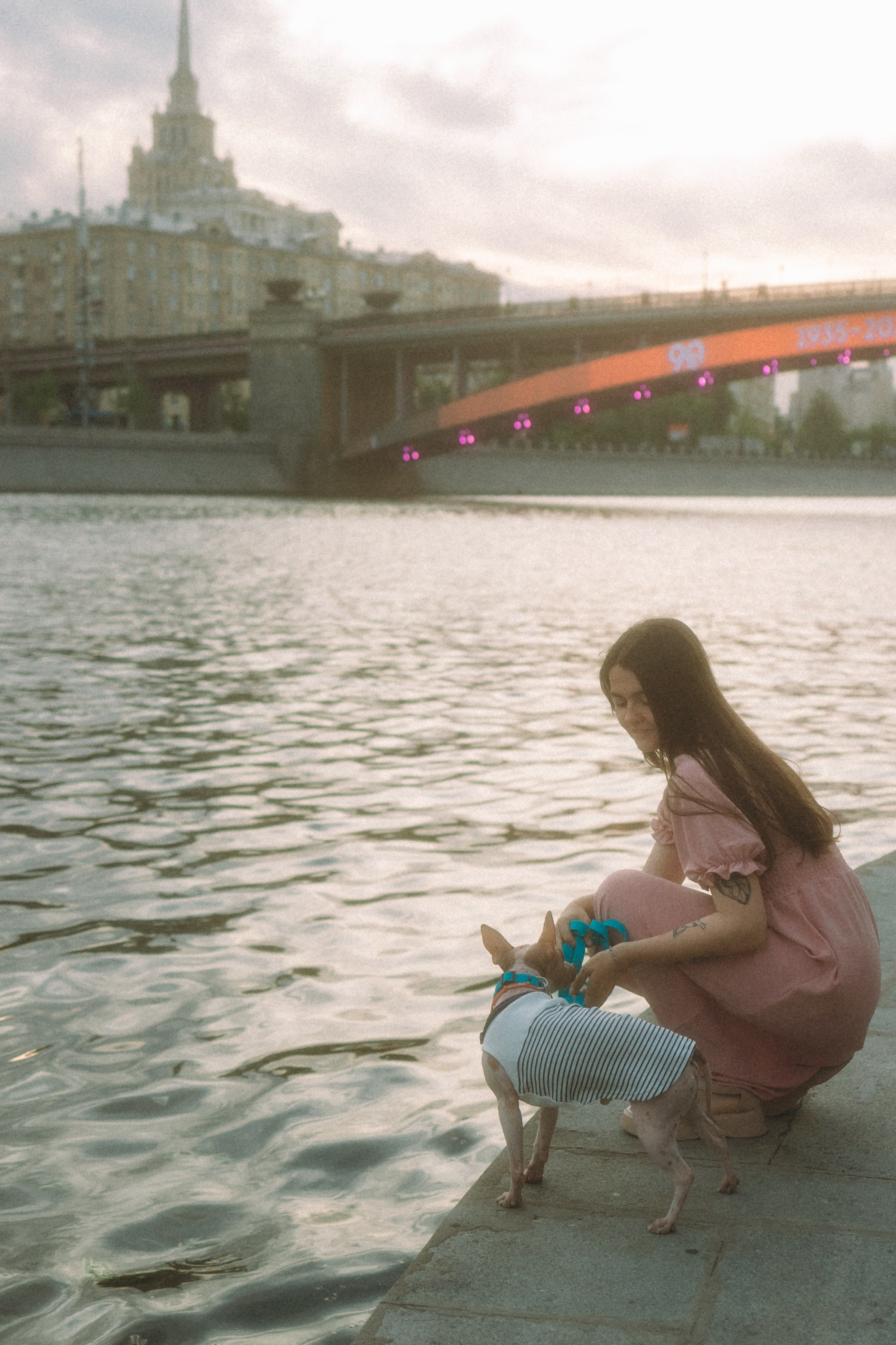 Глаша, Айрон, Ксюша и Оля. Фотограф анималист Анастасия Пикей