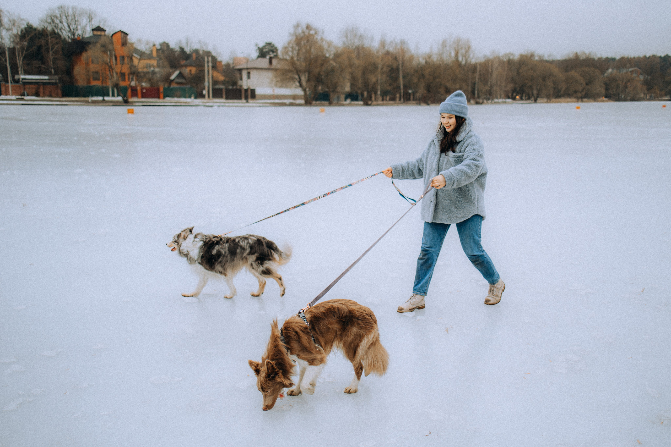 Полина, Милли и Паддингтон
