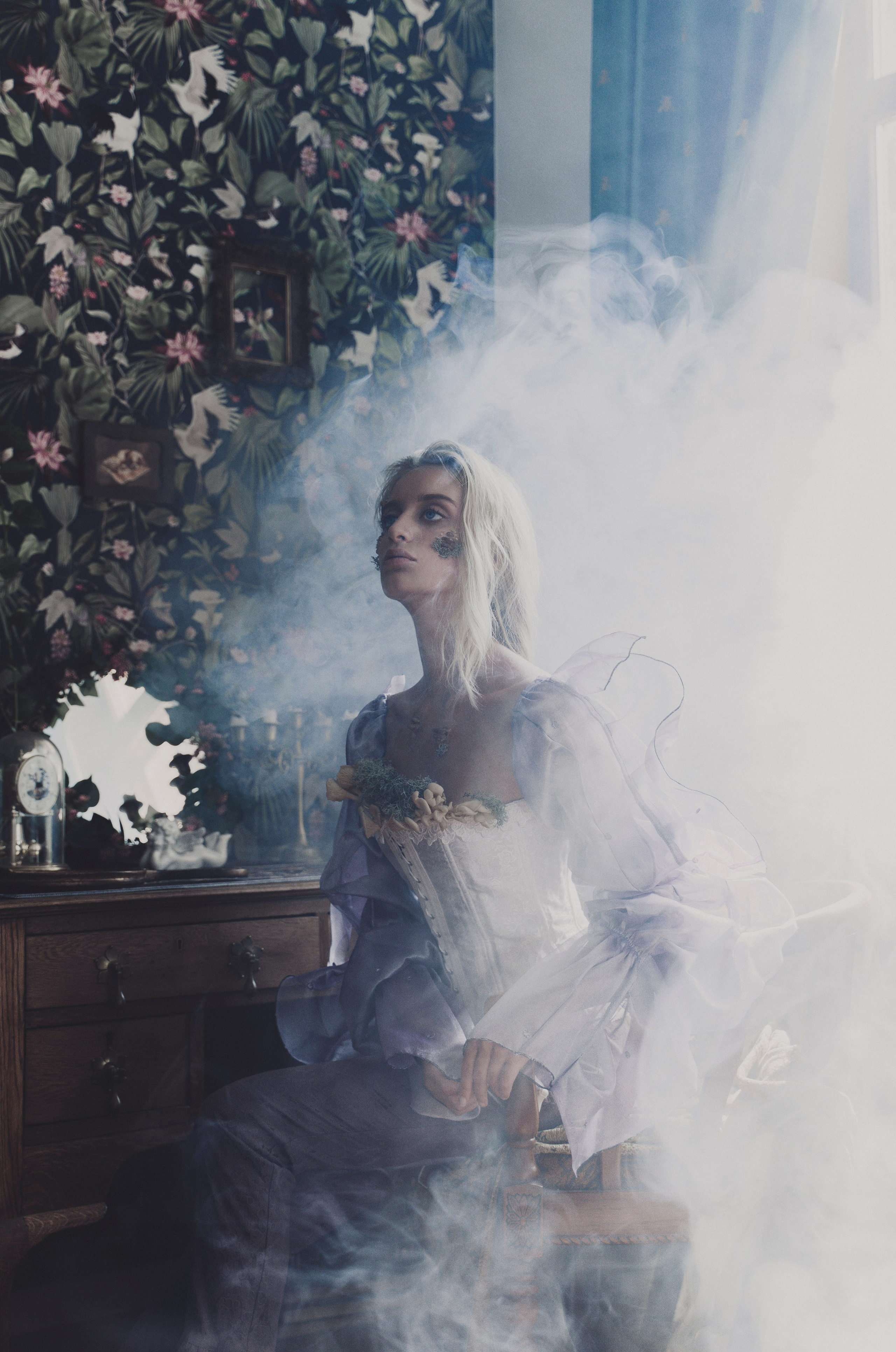Грибы. Фотограф Anita Mivchas