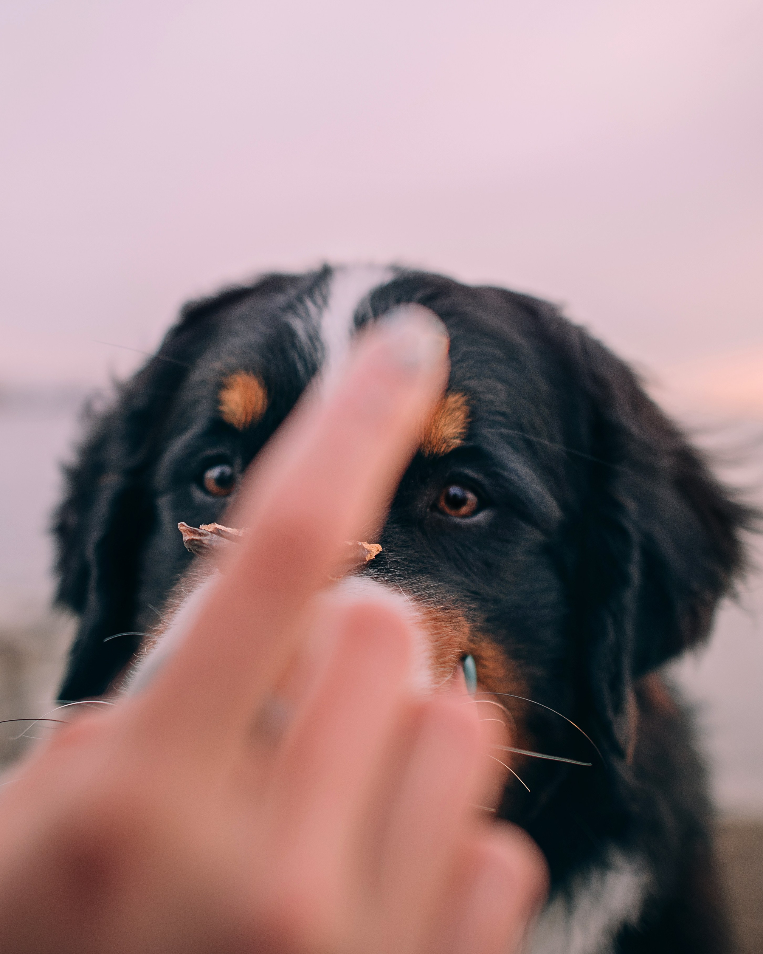 Владивосток: Марс и Маша. Портфолио