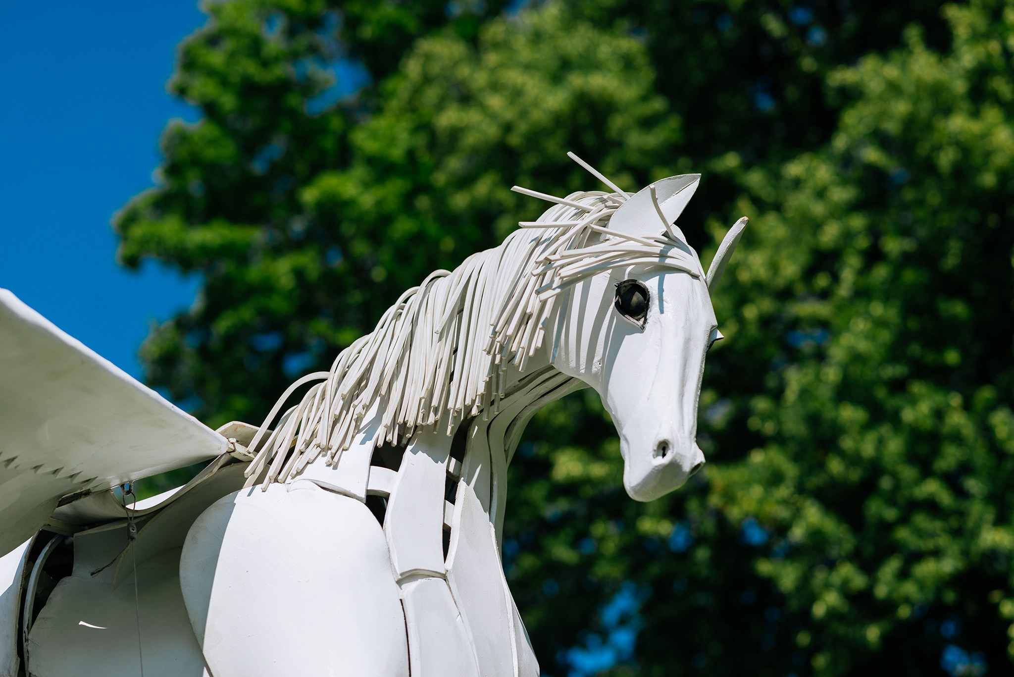 XII Фестиваль уличных театров «Елагин парк». Июль 24. Репортажный фотограф в Санкт-Петербурге Анастасия Клёпова