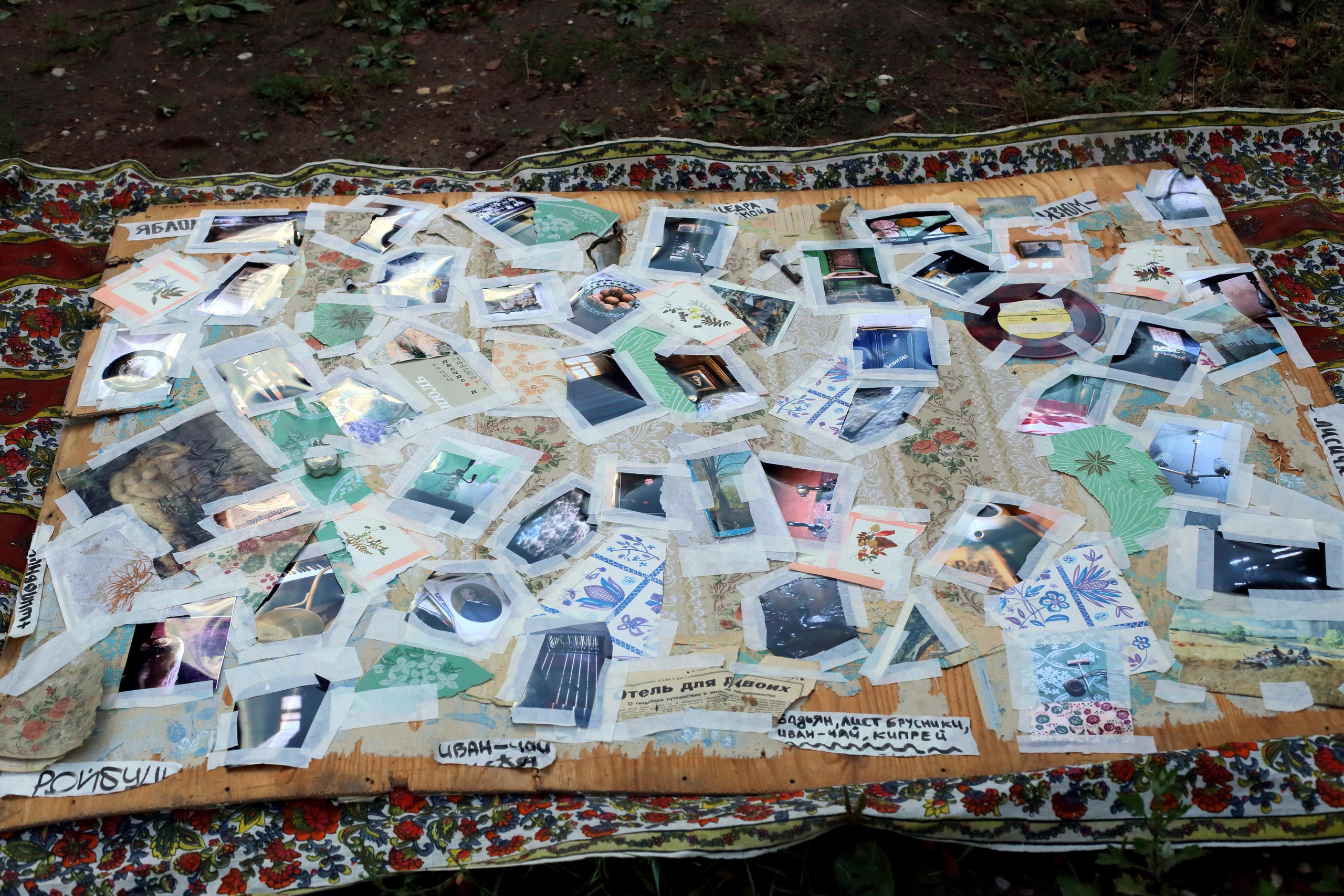 Гений дачи. Екатерина Васильева художник, куратор и преподаватель