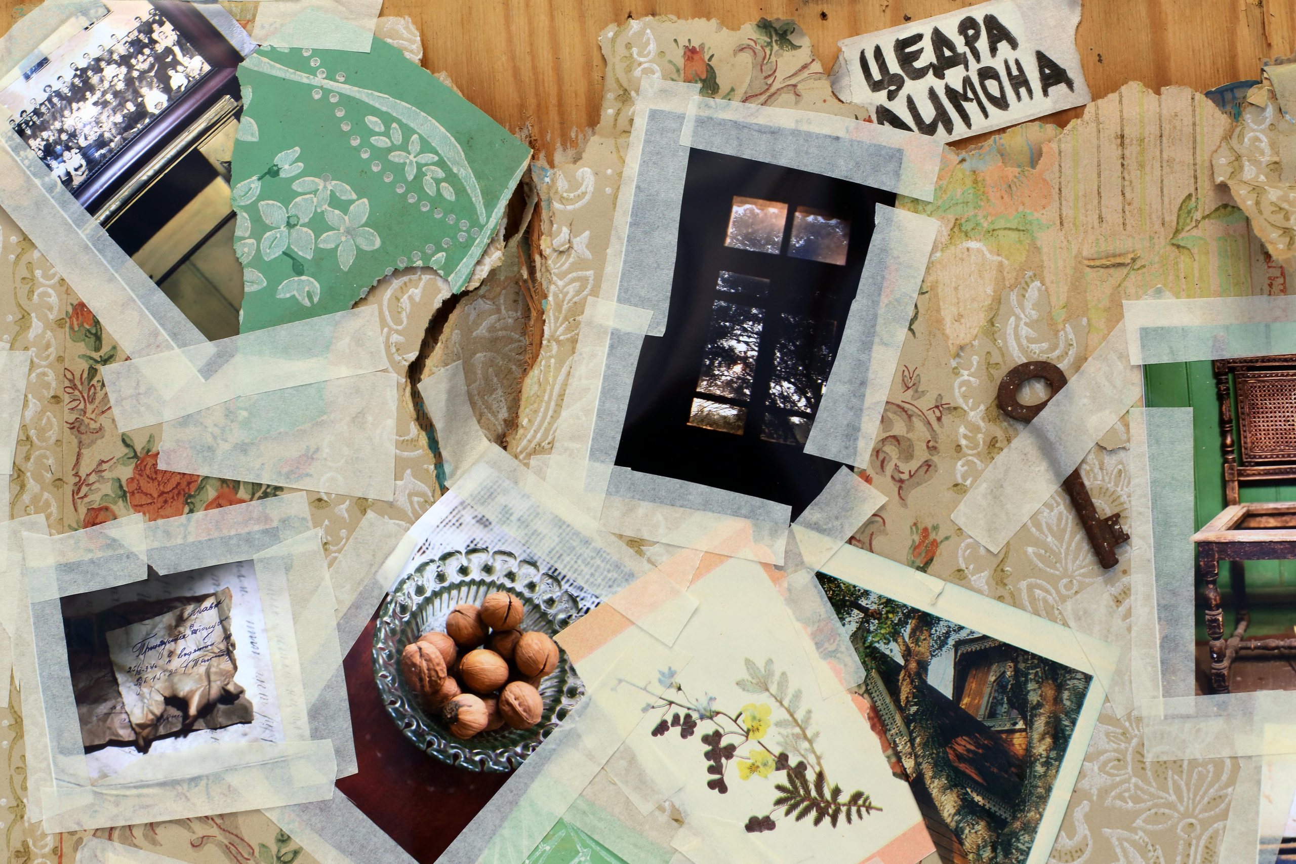 Гений дачи. Екатерина Васильева художник, куратор и преподаватель