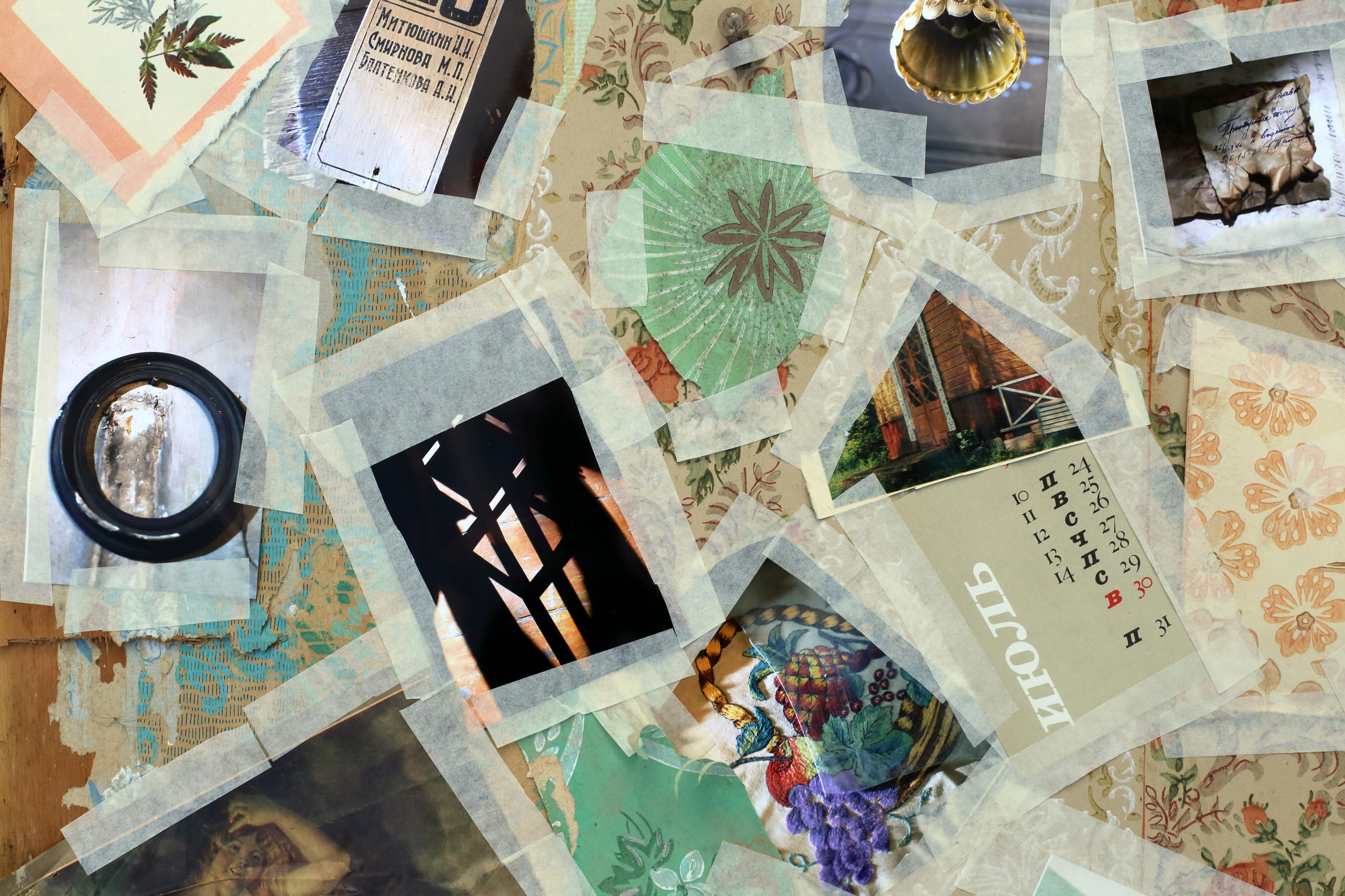 Гений дачи. Екатерина Васильева художник, куратор и преподаватель