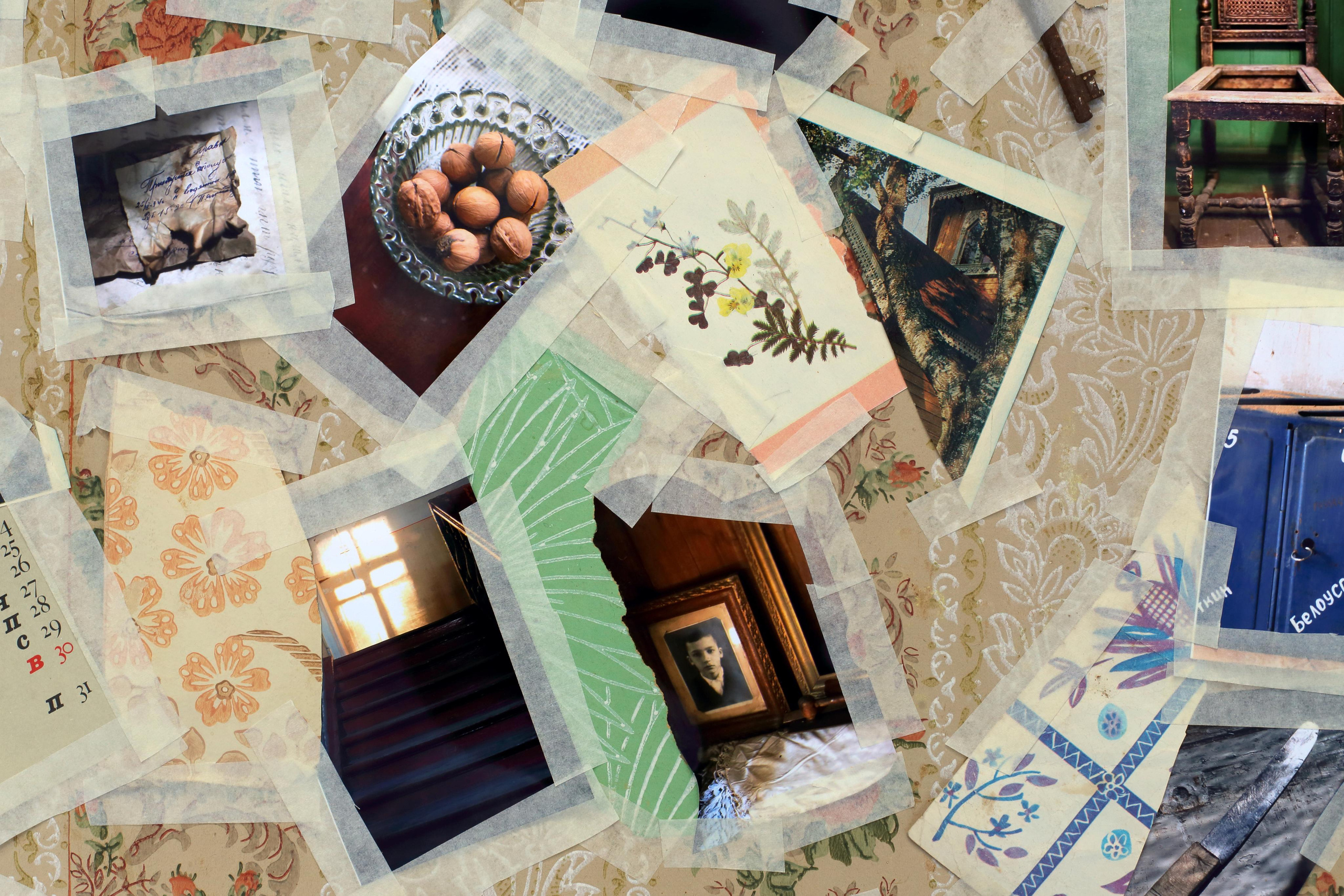 Гений дачи. Екатерина Васильева художник, куратор и преподаватель