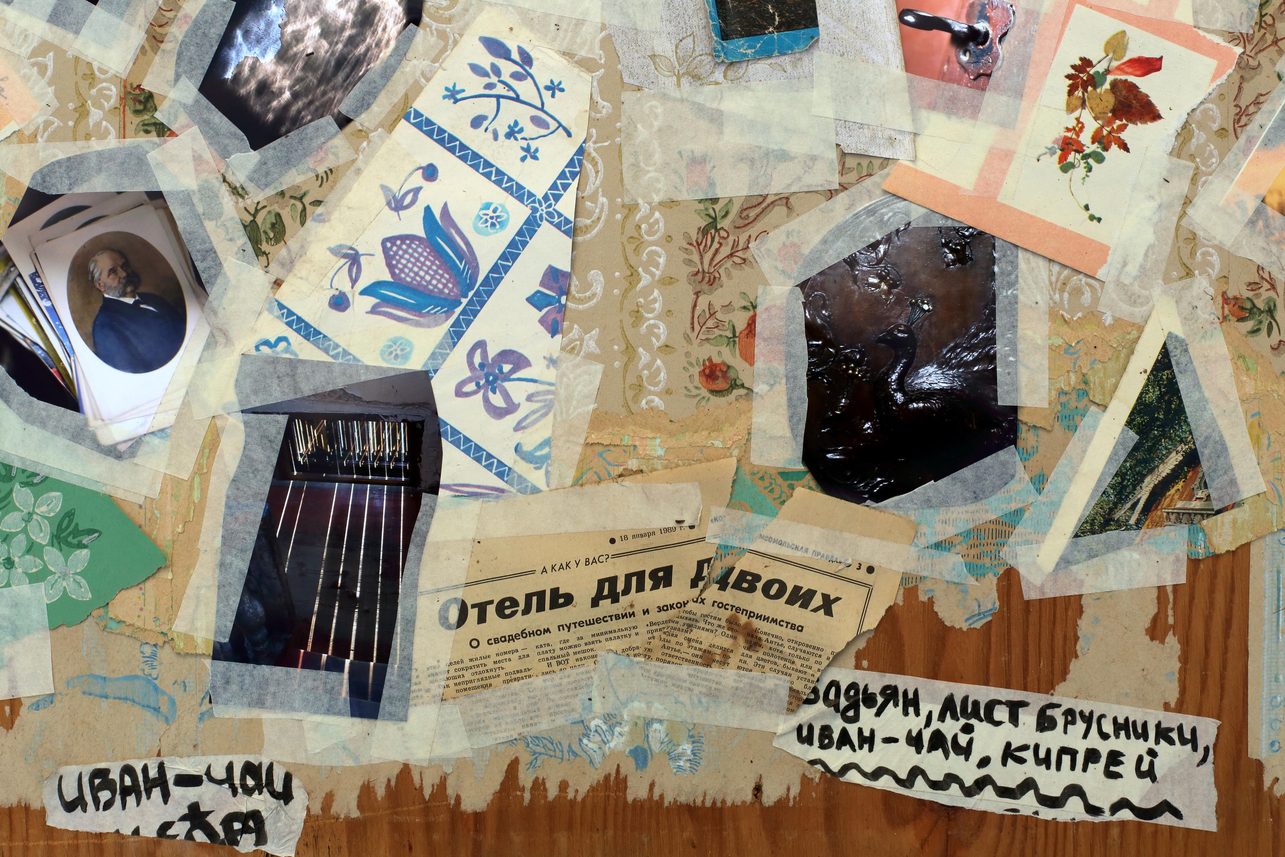 Гений дачи. Екатерина Васильева художник, куратор и преподаватель