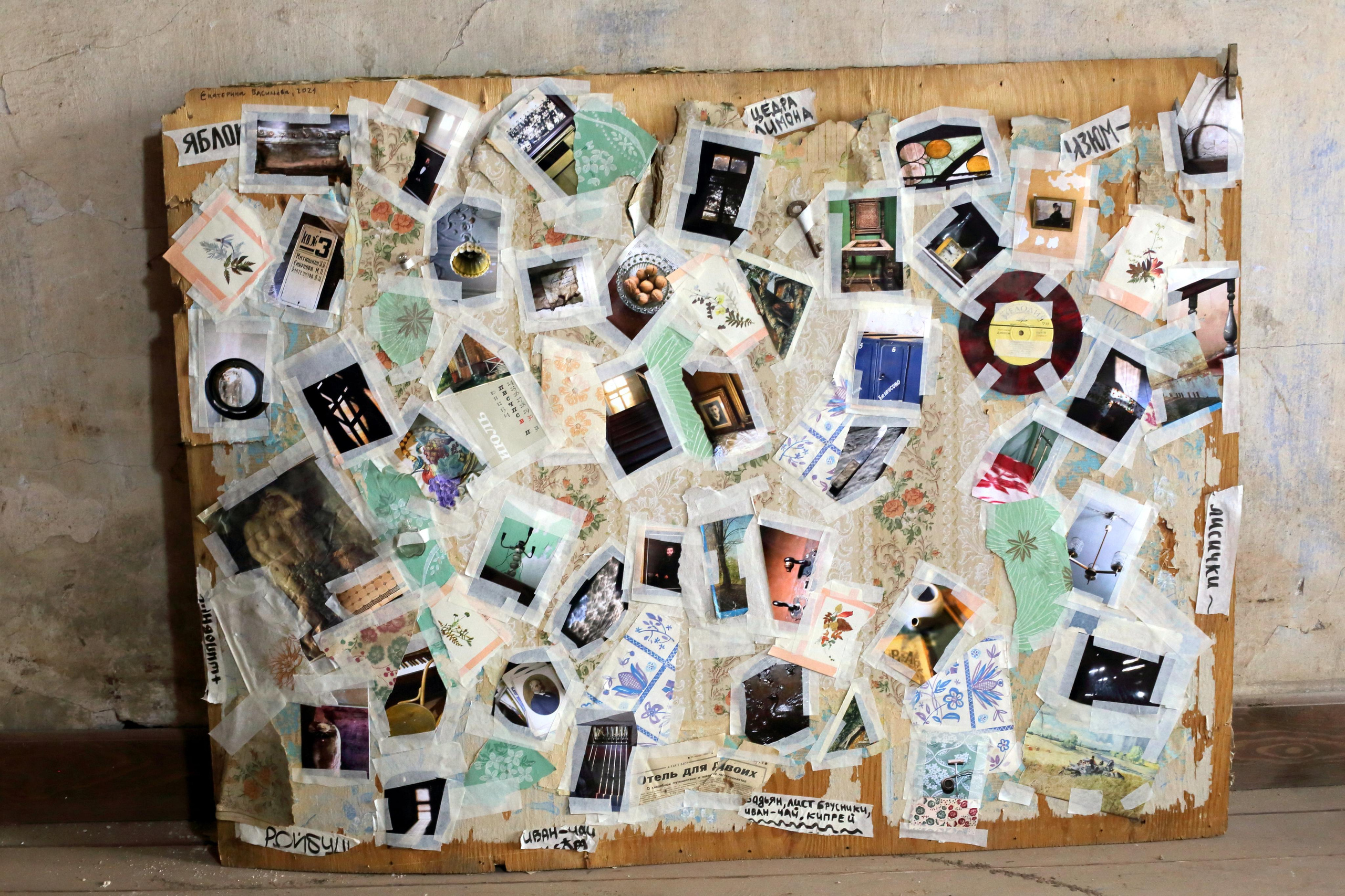 Гений дачи. Екатерина Васильева художник, куратор и преподаватель