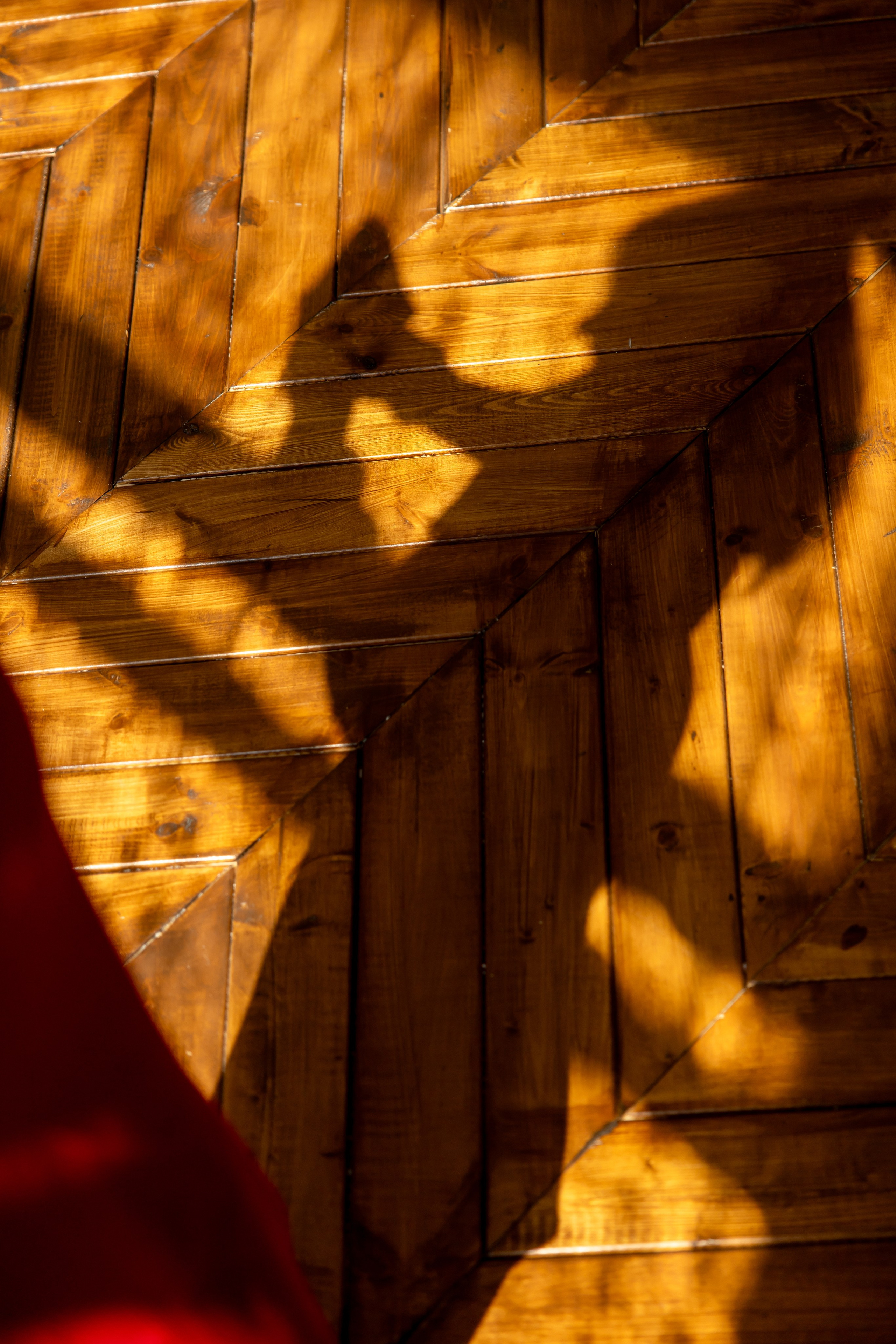 Алиса. Семейный и свадебный фотограф в Геленджике Михаил Шматов