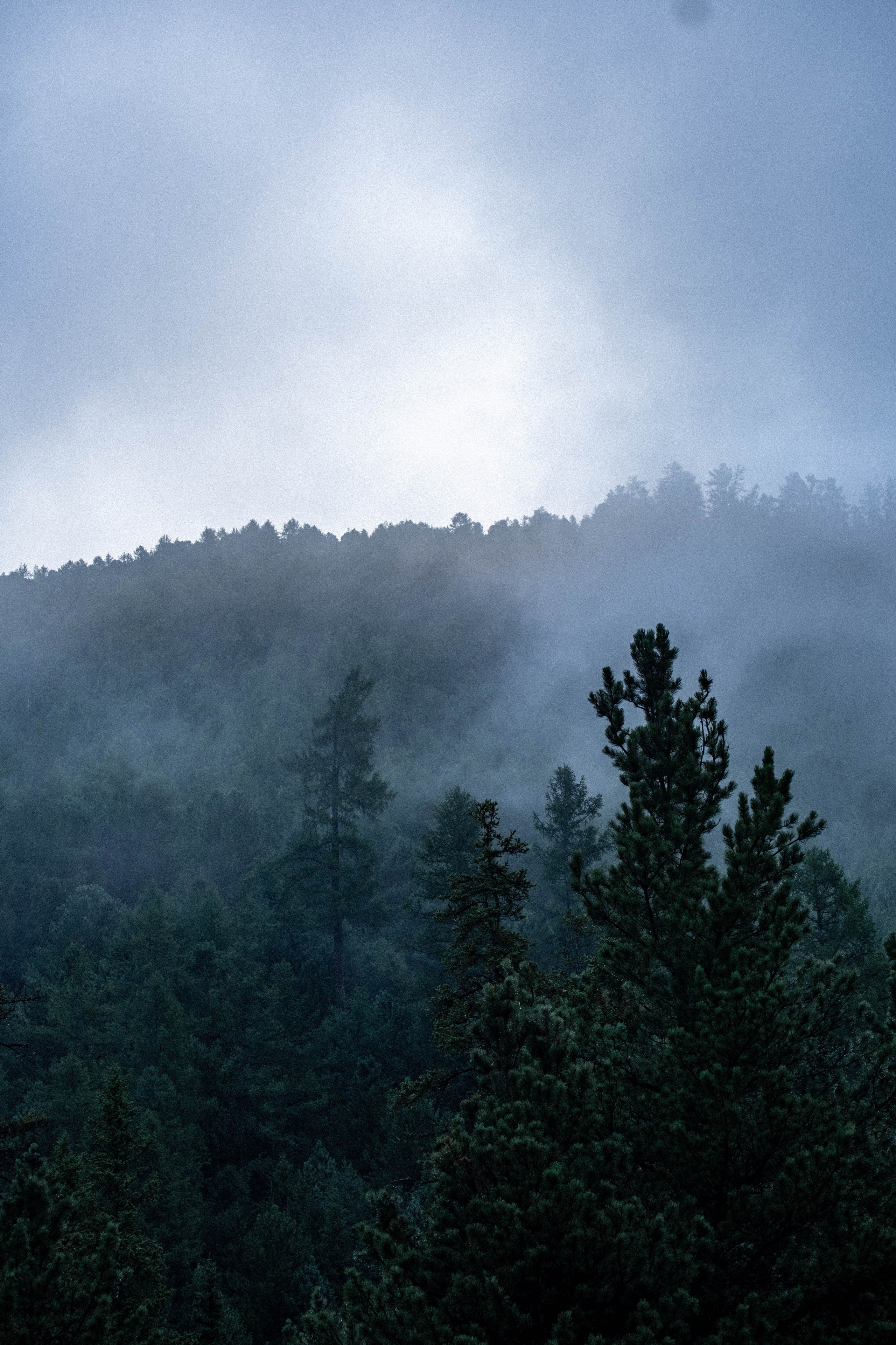 RUSSIA. Фотограф |Герасимова София