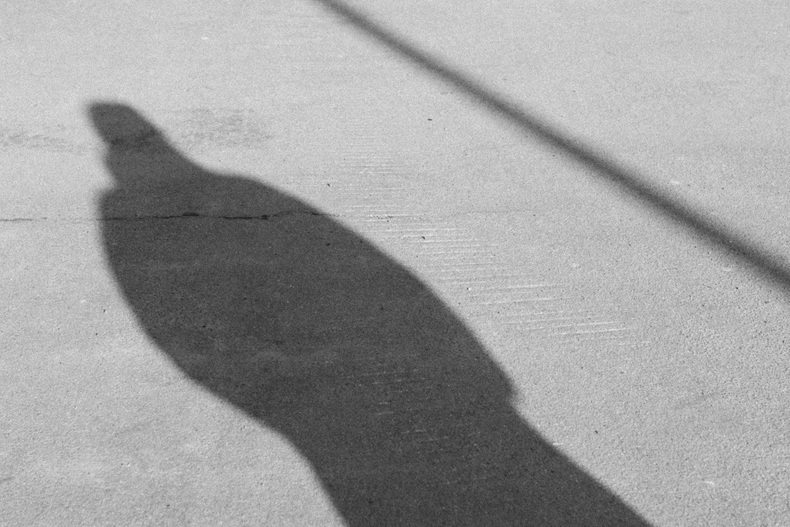 Проявление. Фотограф Алла Добровицина