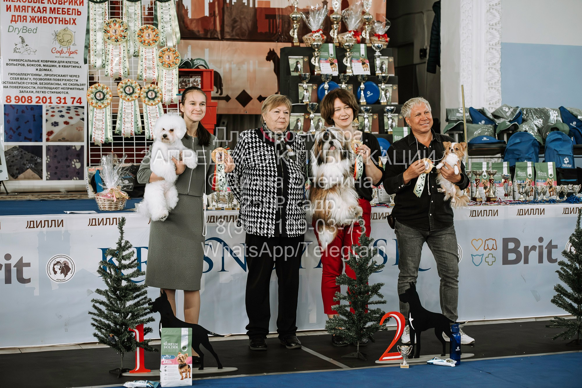 Выставка собак Красноярск 29.10.2023. Фотограф Диана Оленина Красноярск / Братск