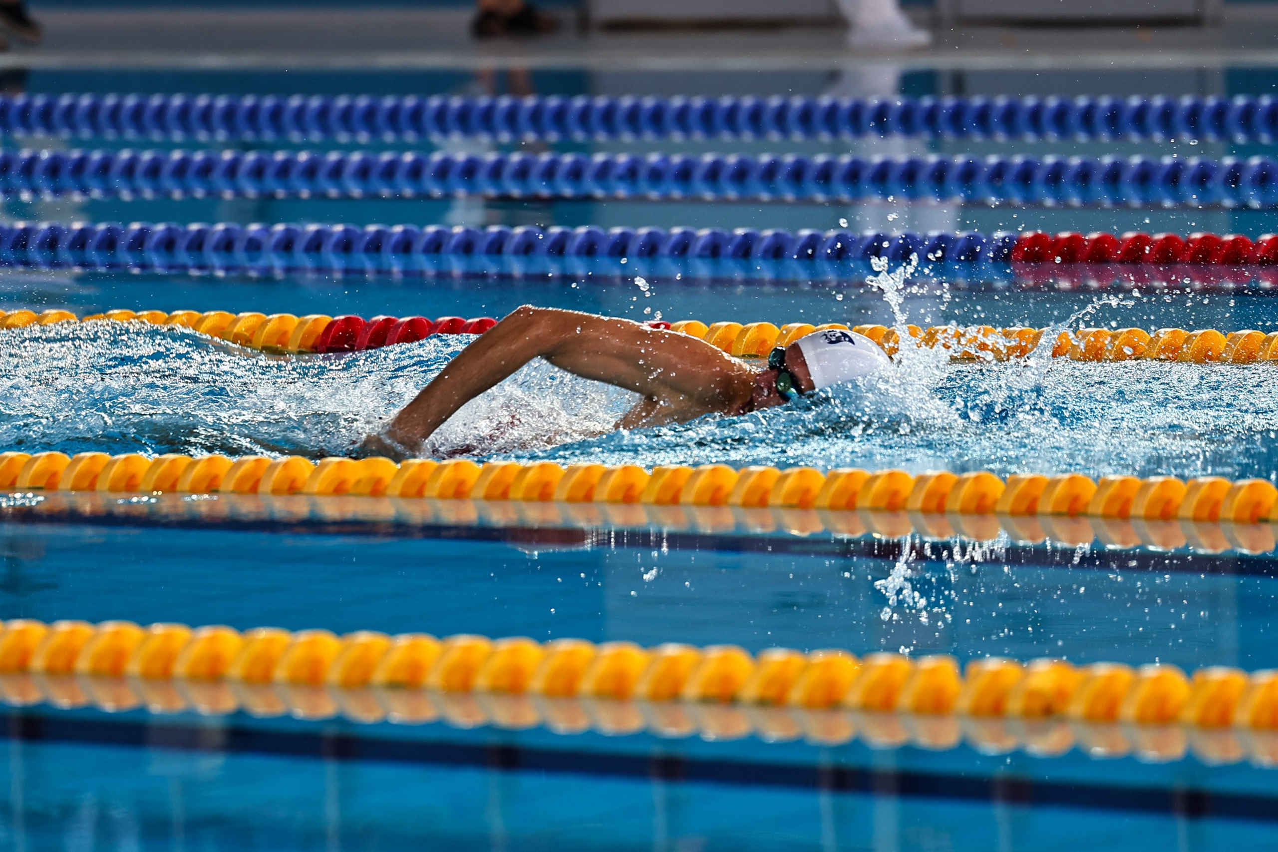 ДЗМ Плавание 2026. Фототерапевт Ева Бунеева