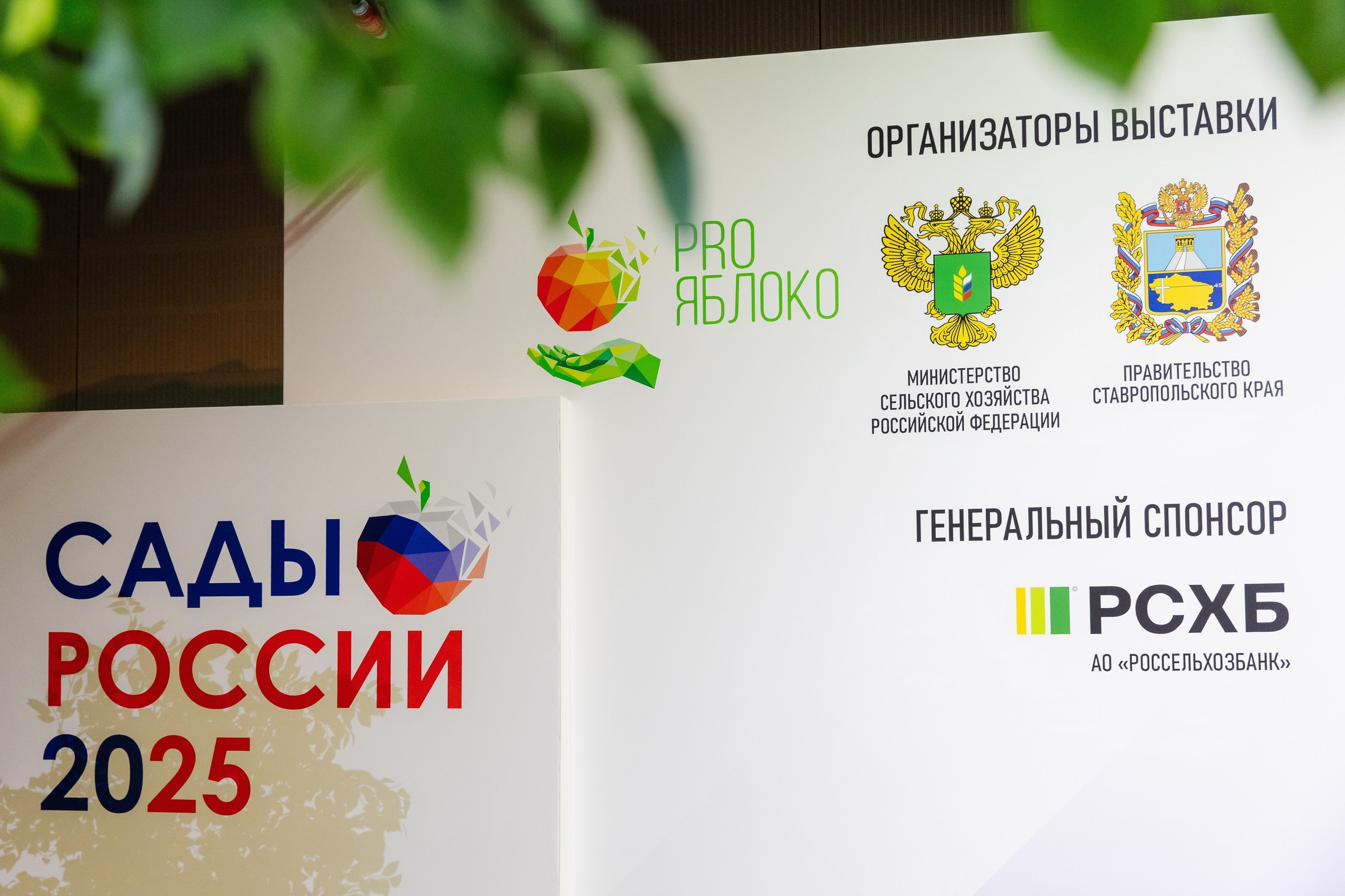 ЭКСПО. Фотограф Николай Петрушкин | Ставрополь, Москва