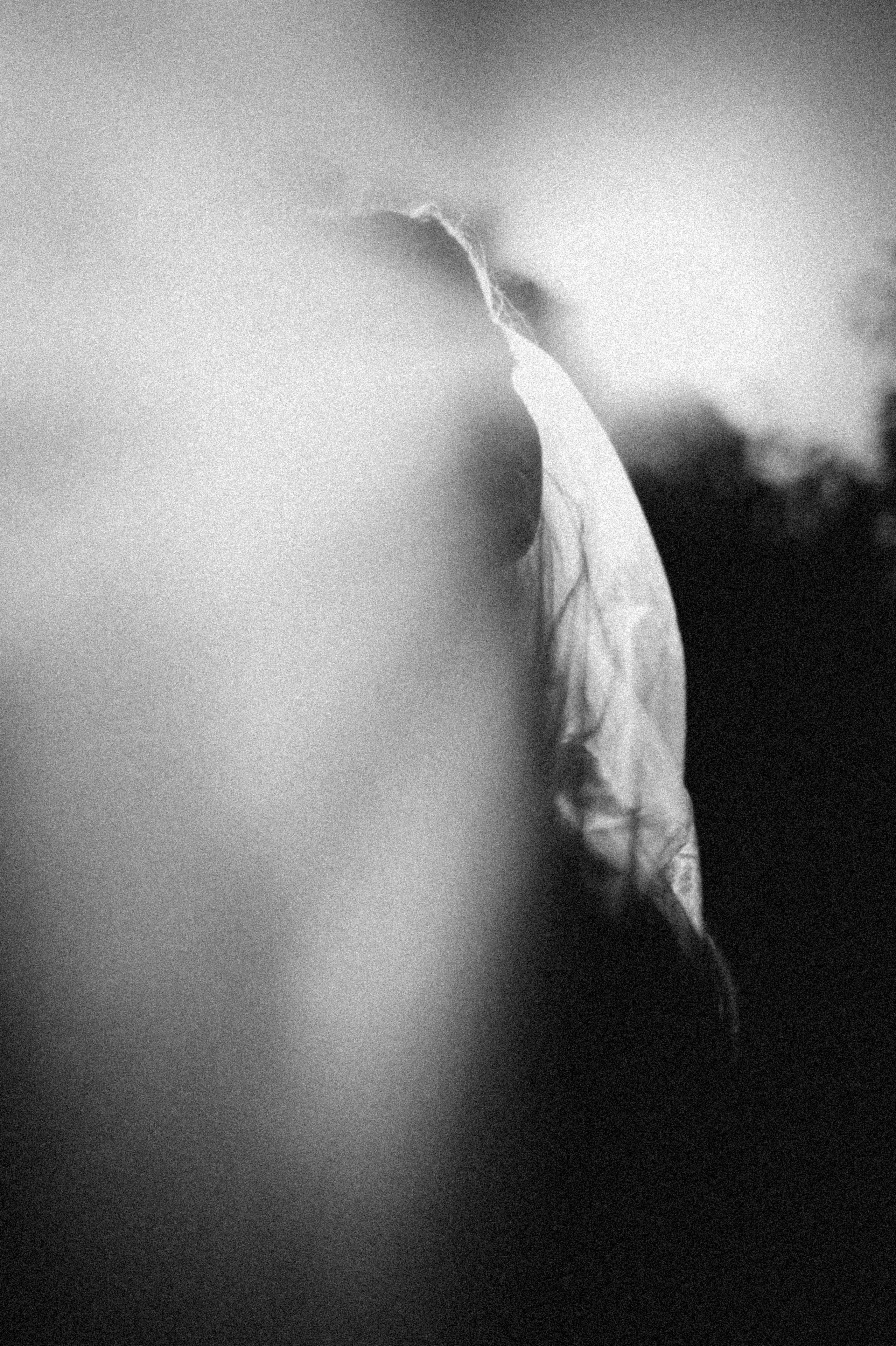 Embracing the Clouds. Фотограф Сергей Суслов | Сочи