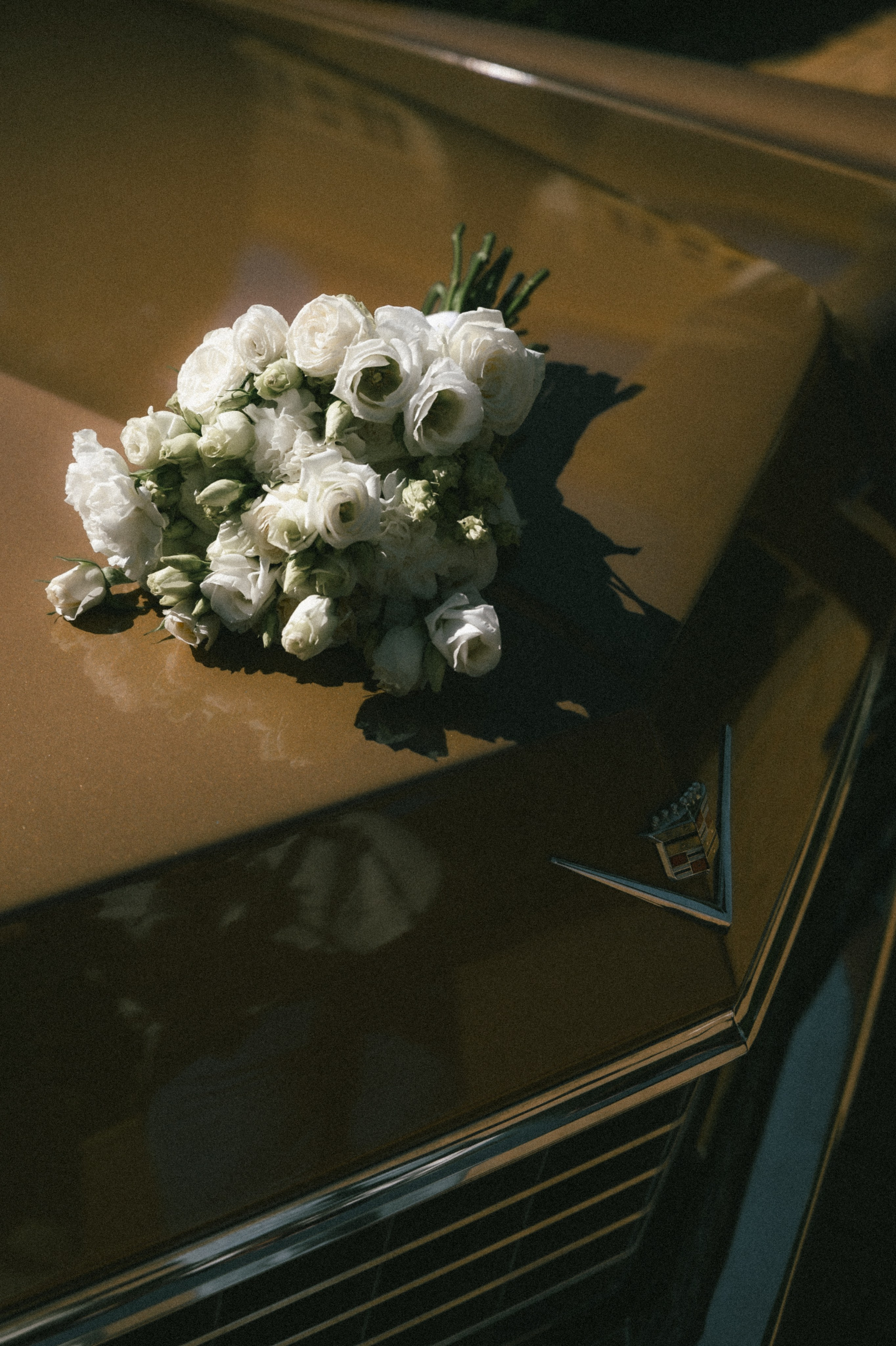 Vintage Glimpse. Фотограф Сергей Суслов | Сочи