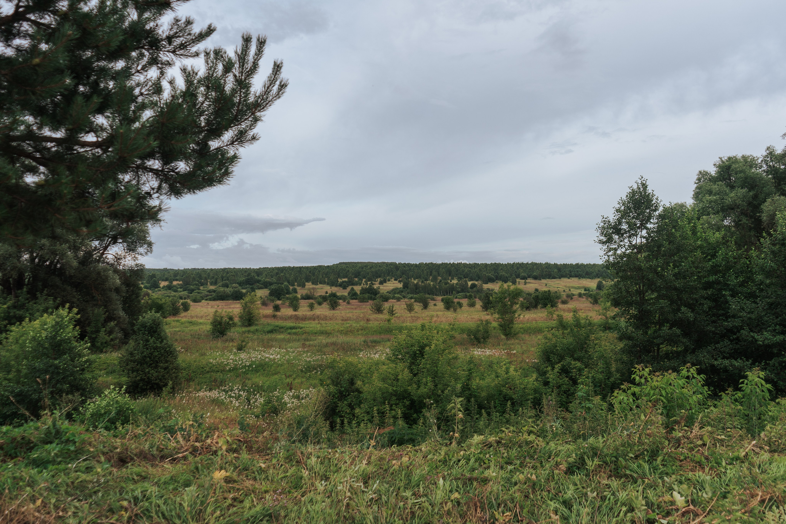 Ретрит от т-центра Псайторий 2024. Портретный фотограф Нижний Новгород