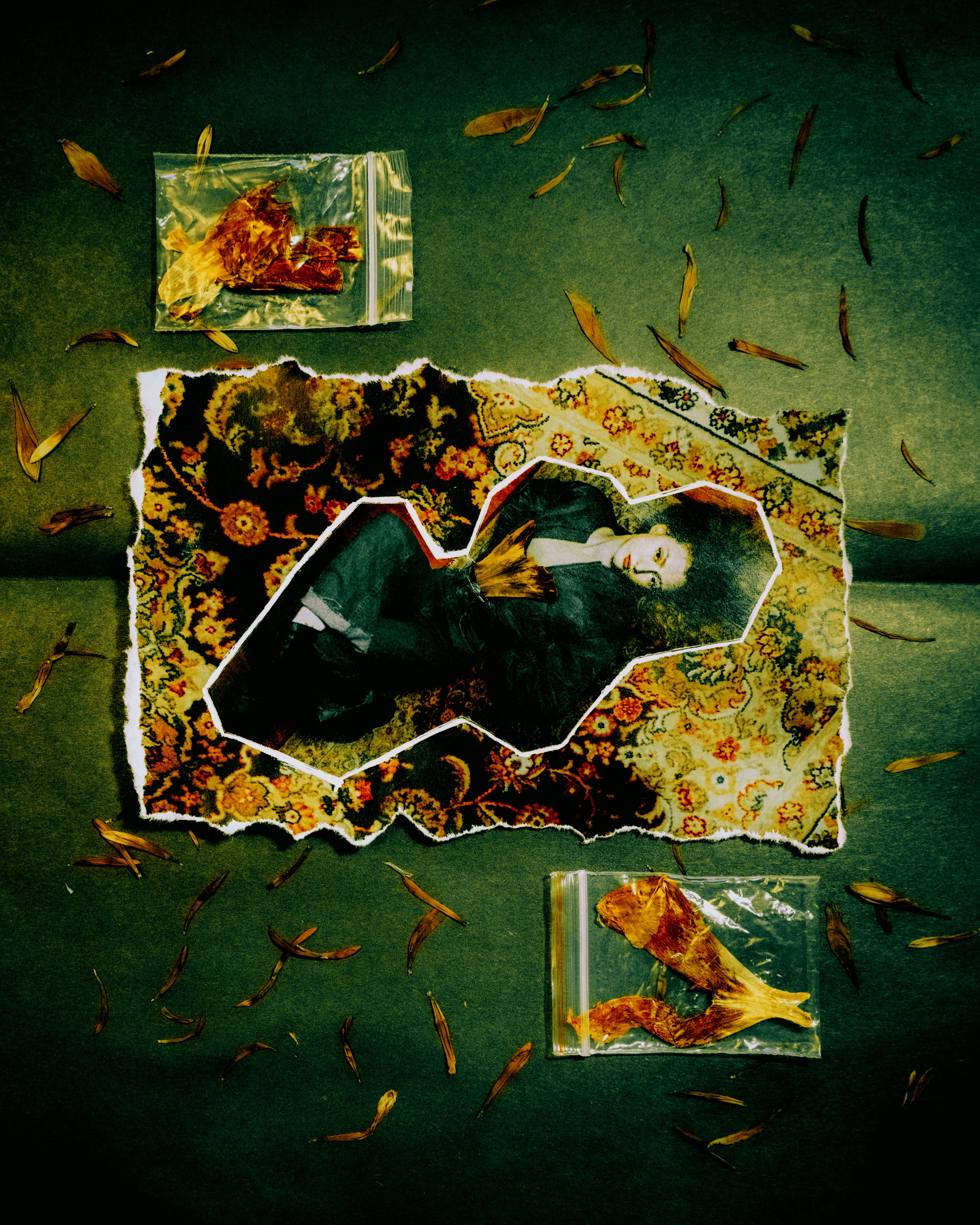 Коллажист Анна кулинская Москва